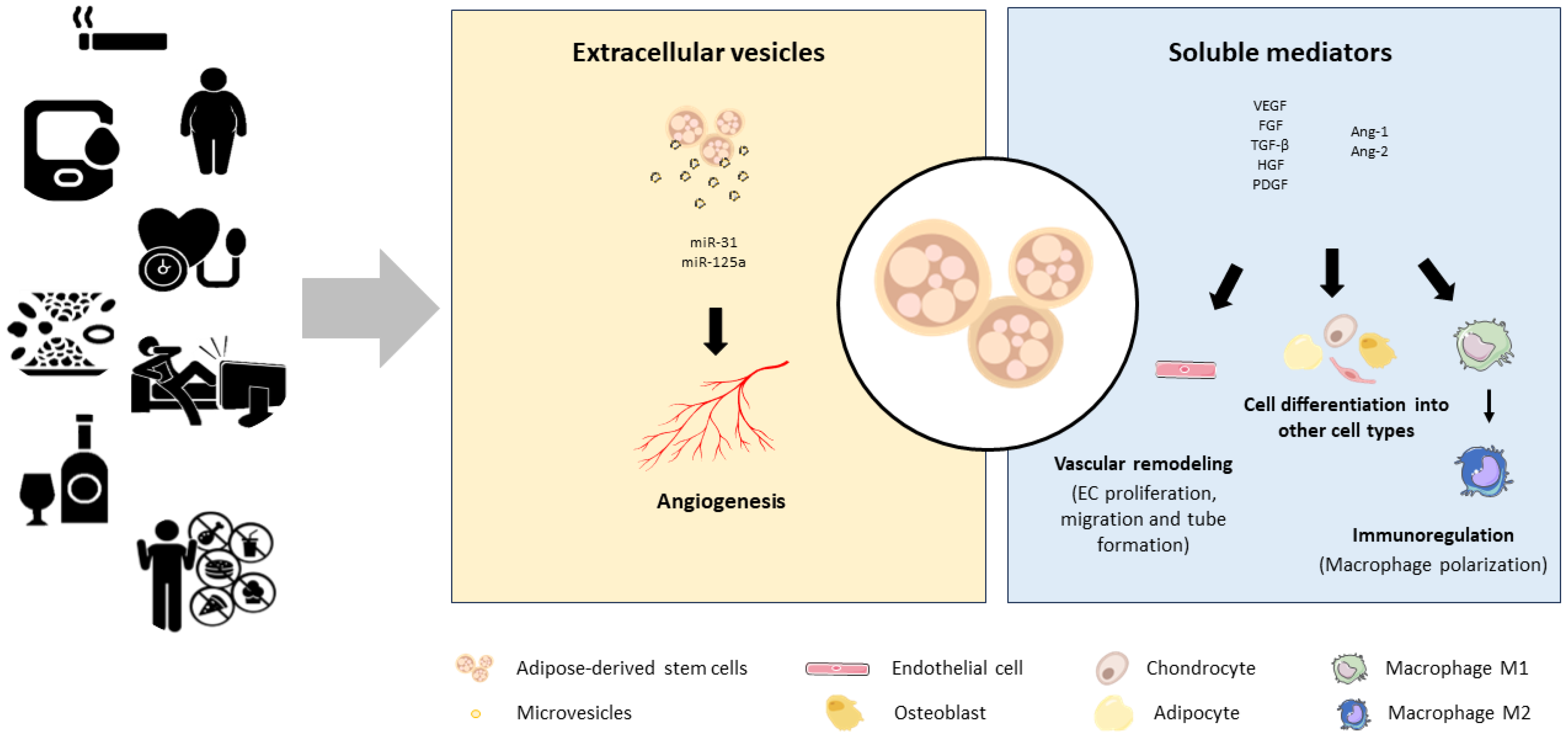Ijms 24 16752 g002 Ijms 24 16752 g002