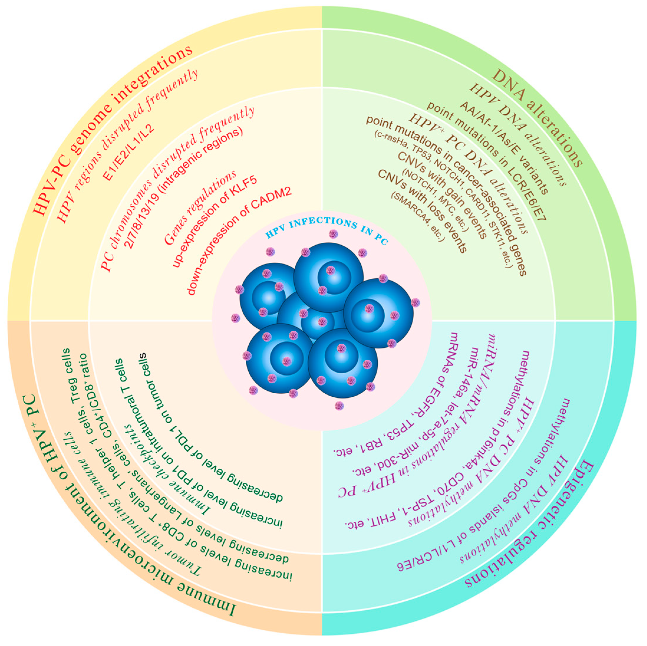 Ijms 24 16808 g001 Ijms 24 16808 g001