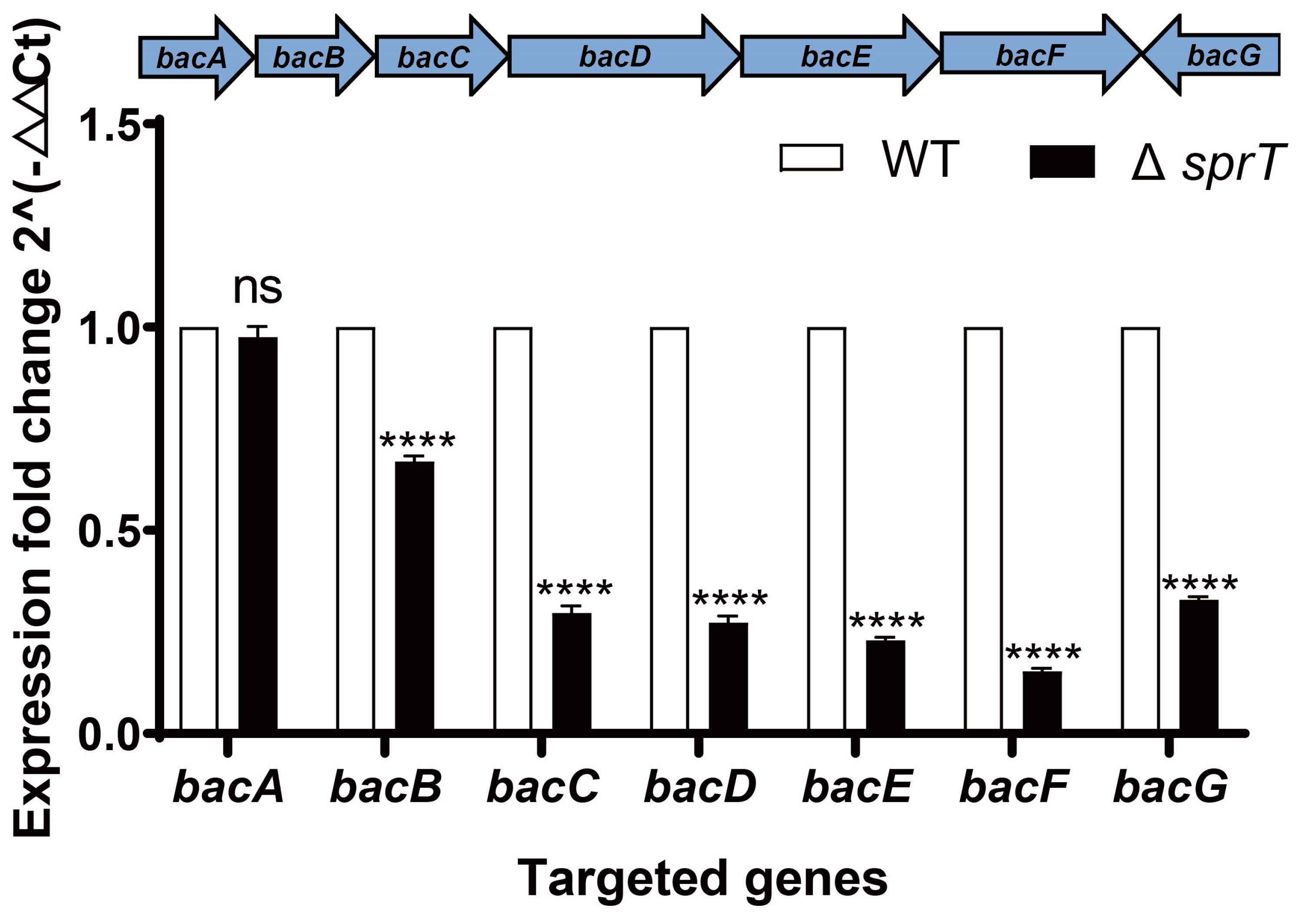 Ijms 24 16815 g005 Ijms 24 16815 g005