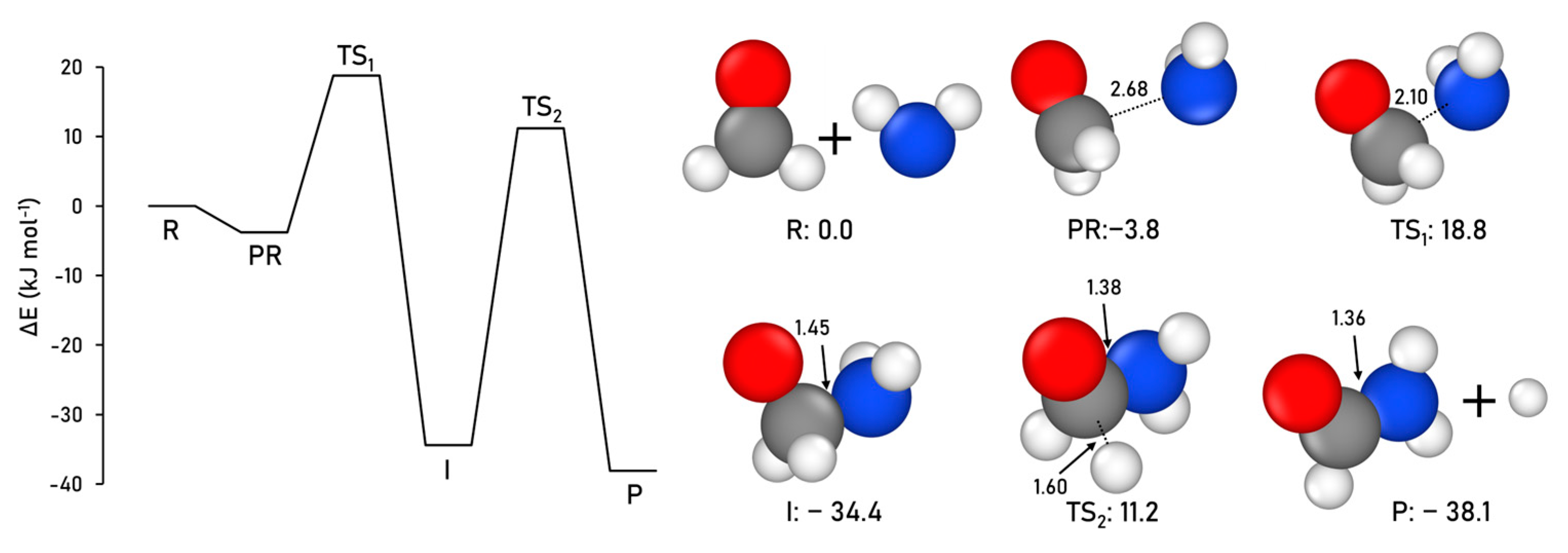 Ijms 24 16824 g001 Ijms 24 16824 g001