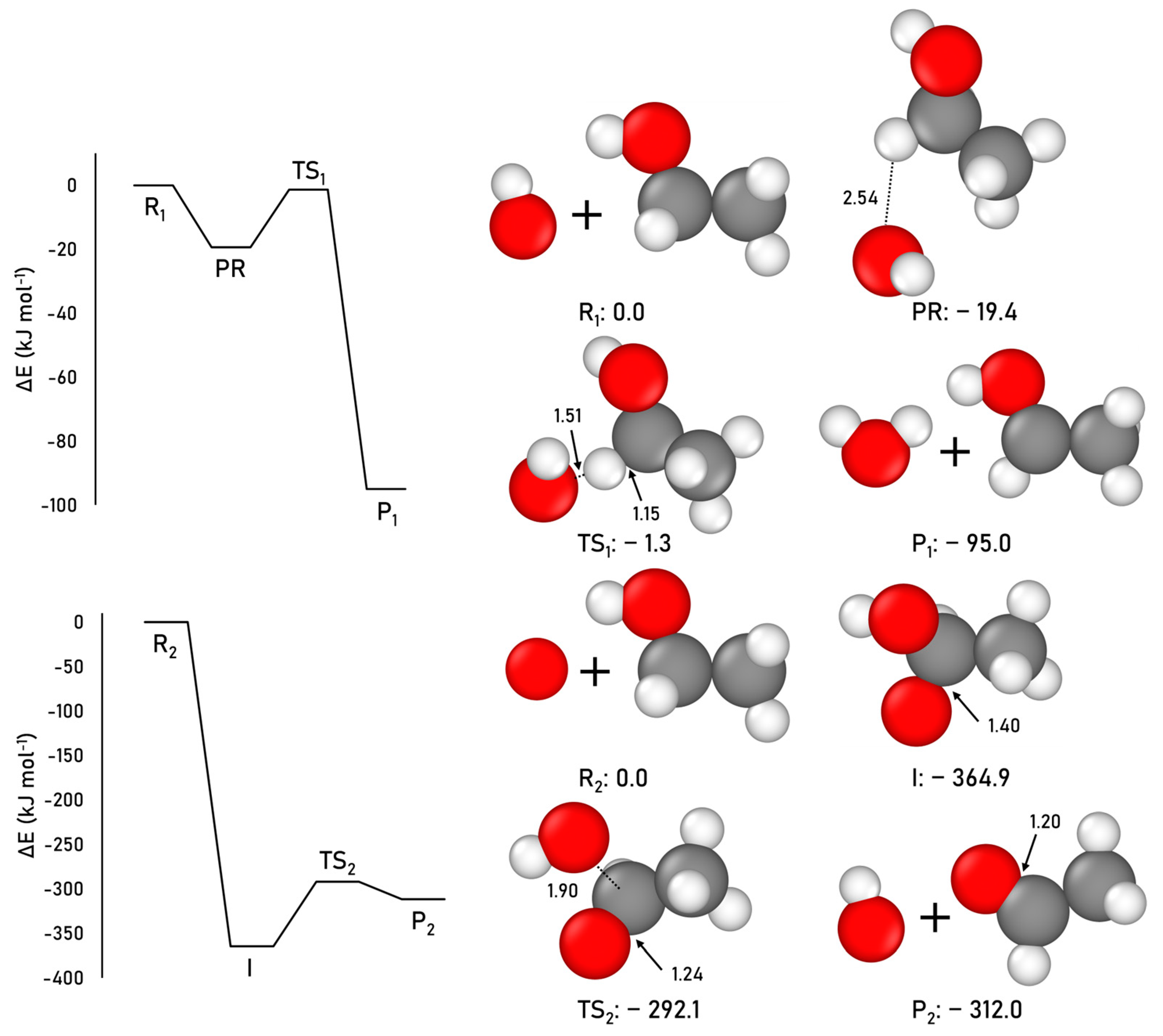 Ijms 24 16824 g002 Ijms 24 16824 g002