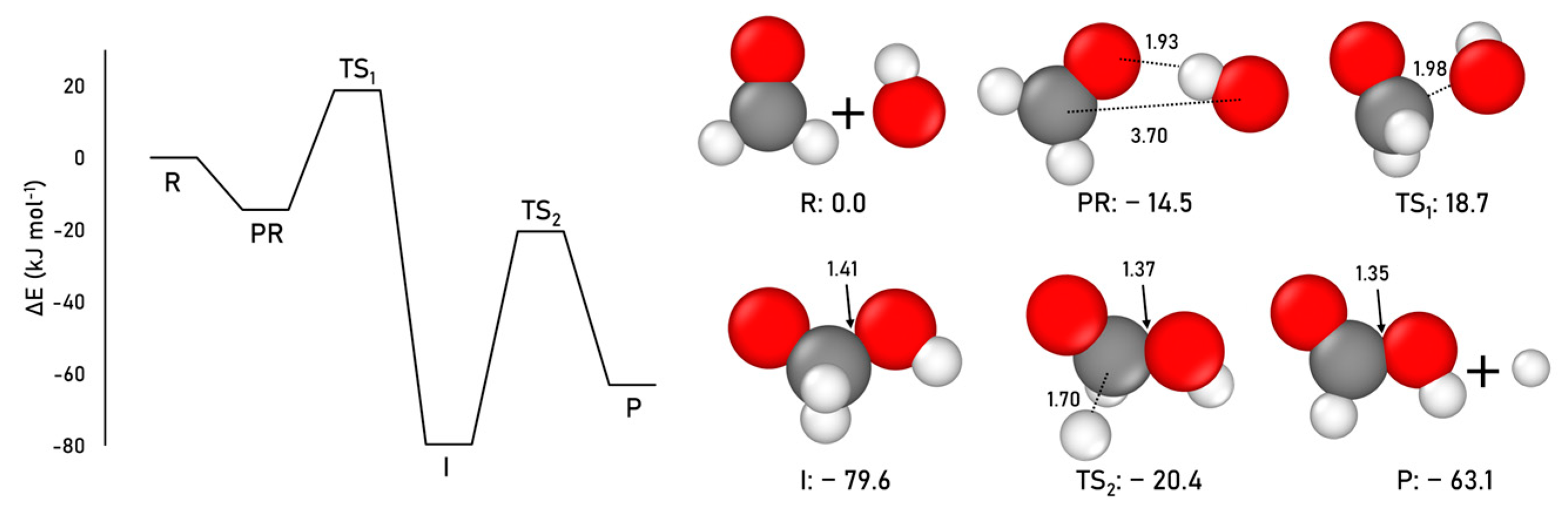 Ijms 24 16824 g004 Ijms 24 16824 g004