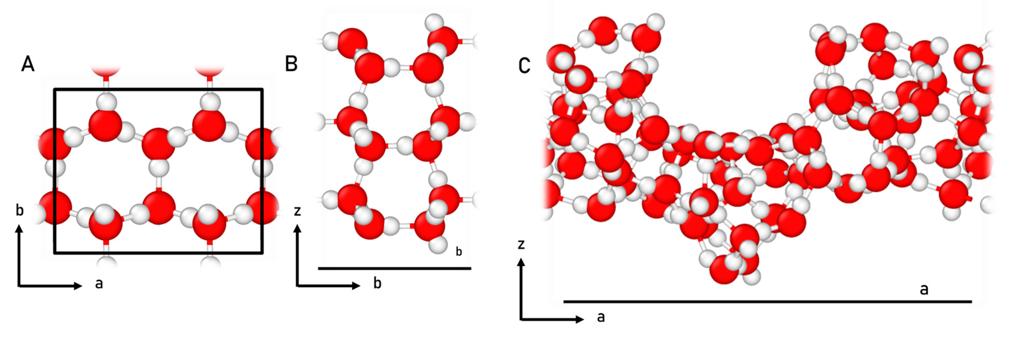 Ijms 24 16824 g009 Ijms 24 16824 g009
