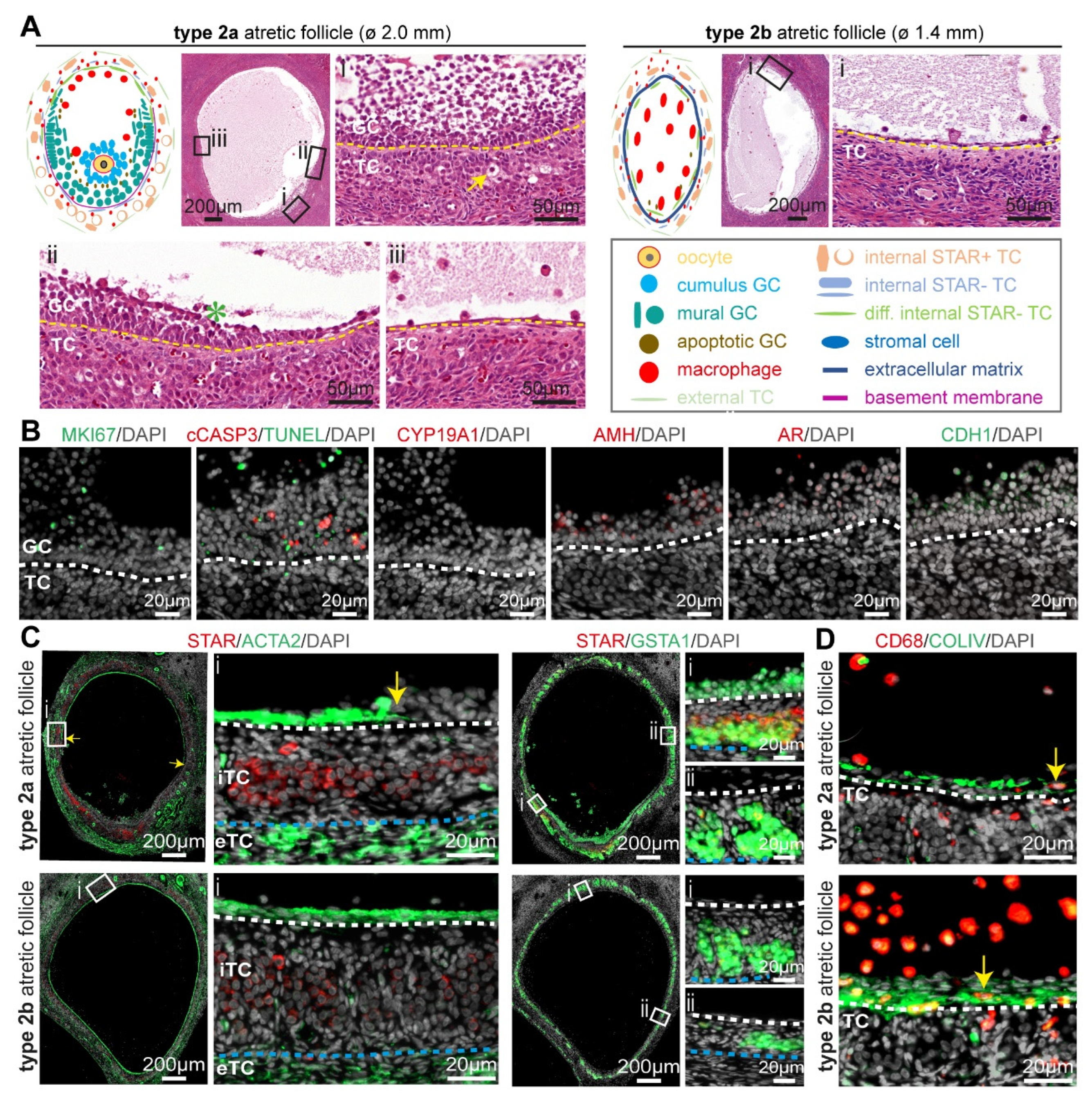 Ijms 24 16846 g003 Ijms 24 16846 g003