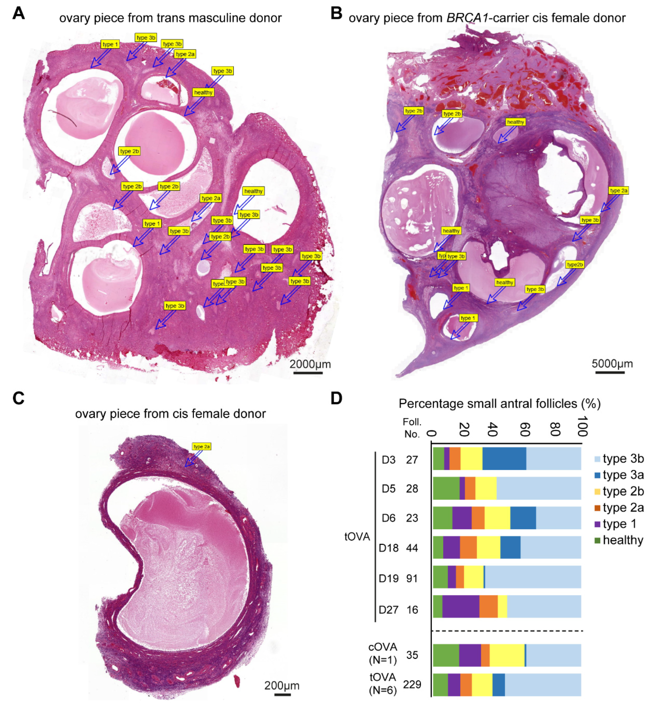Ijms 24 16846 g005 Ijms 24 16846 g005