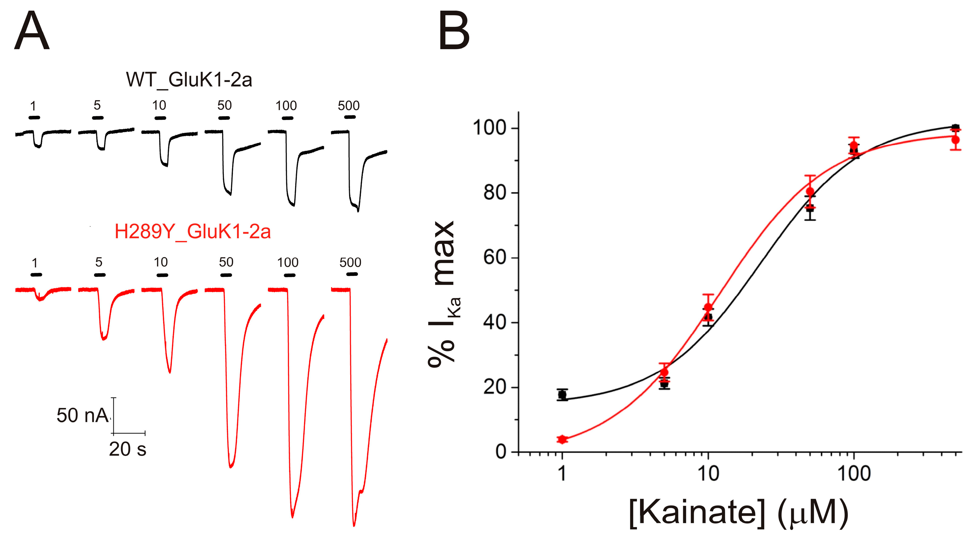 Ijms 24 16852 g005 Ijms 24 16852 g005