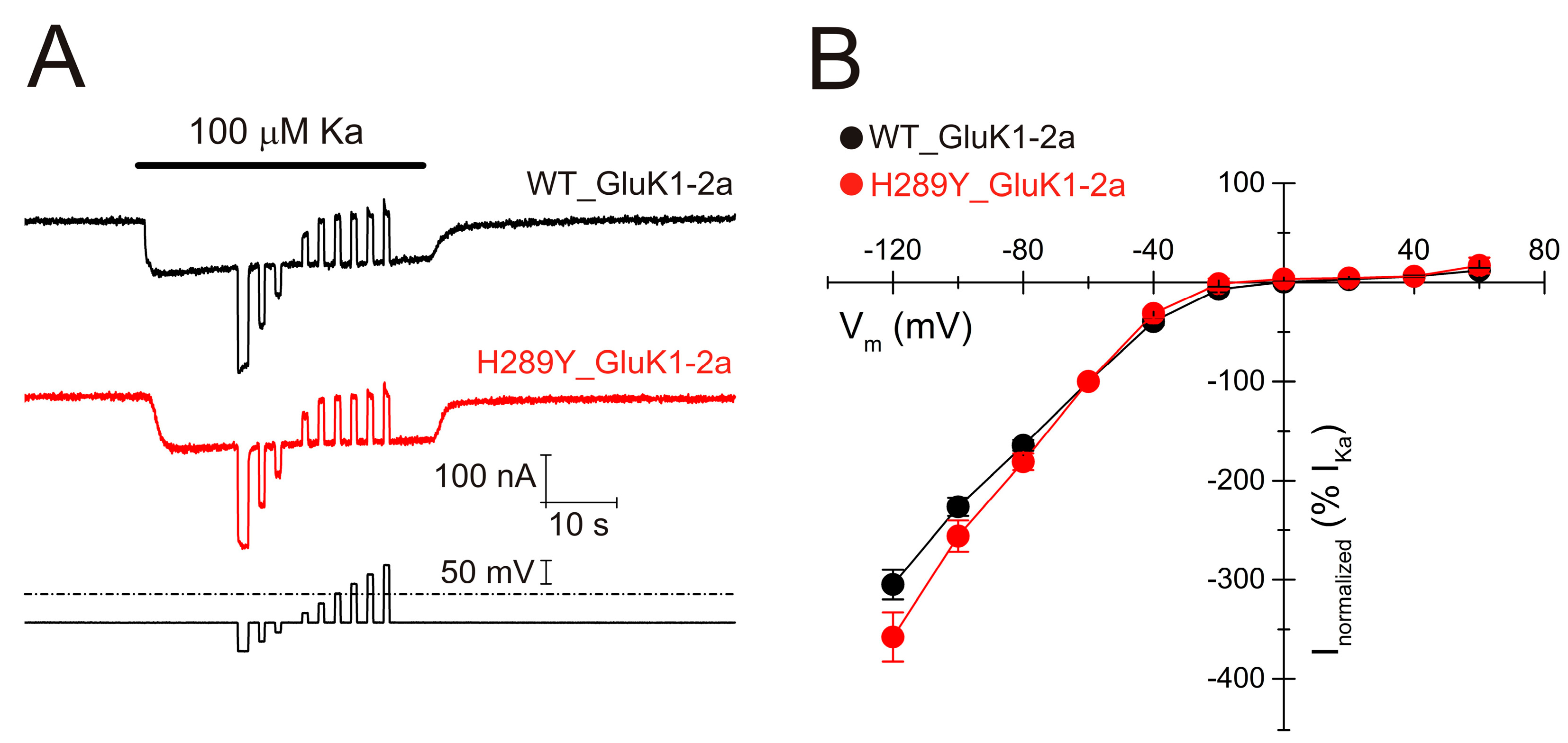Ijms 24 16852 g006 Ijms 24 16852 g006