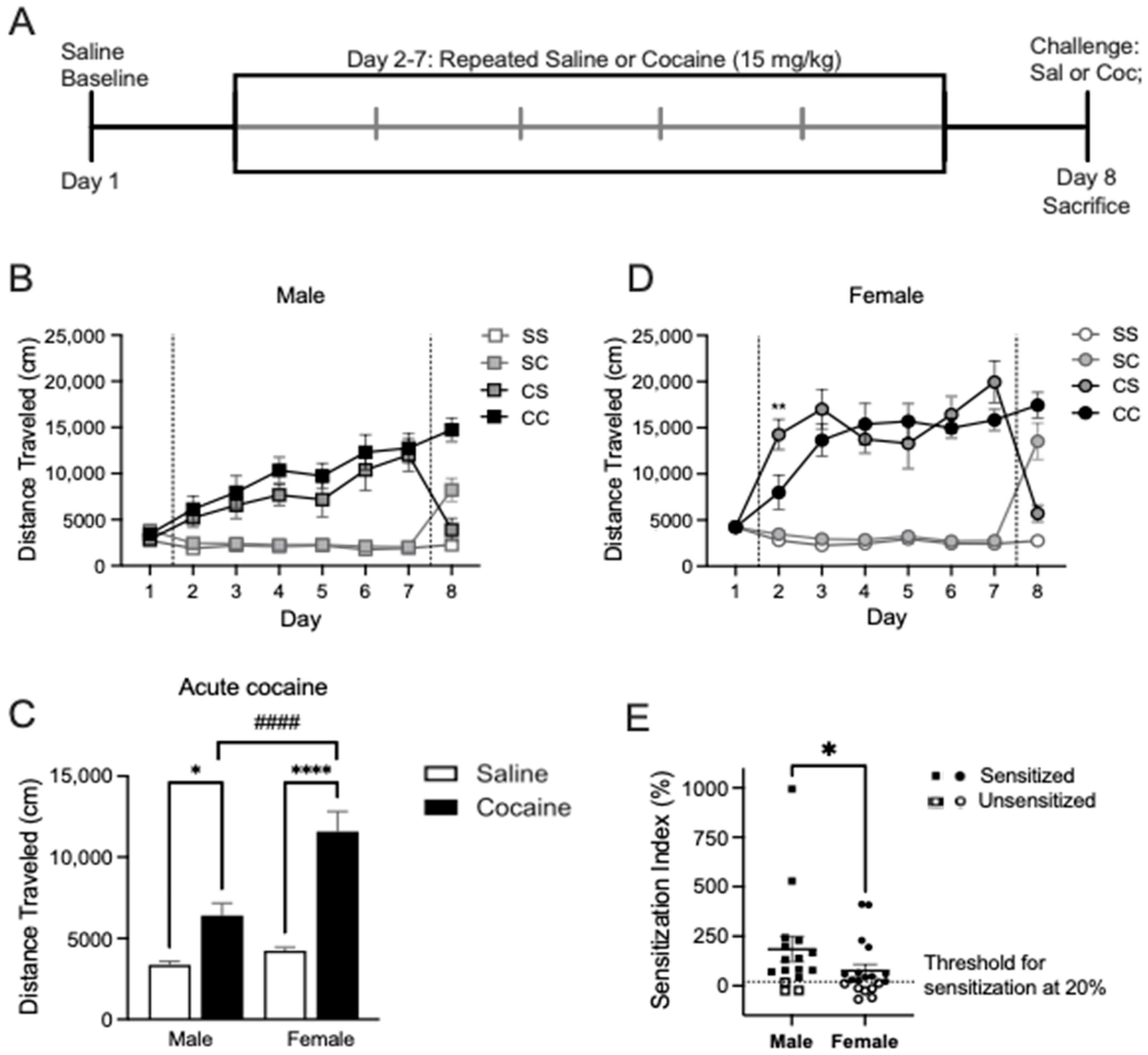 Ijms 24 16859 g001 Ijms 24 16859 g001