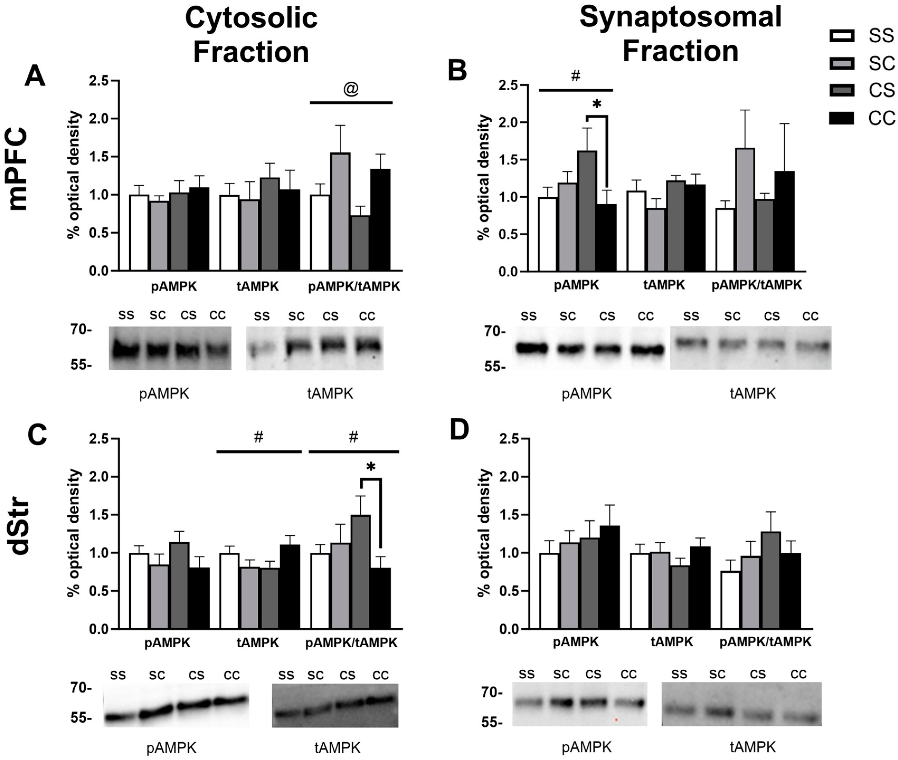 Ijms 24 16859 g002 Ijms 24 16859 g002