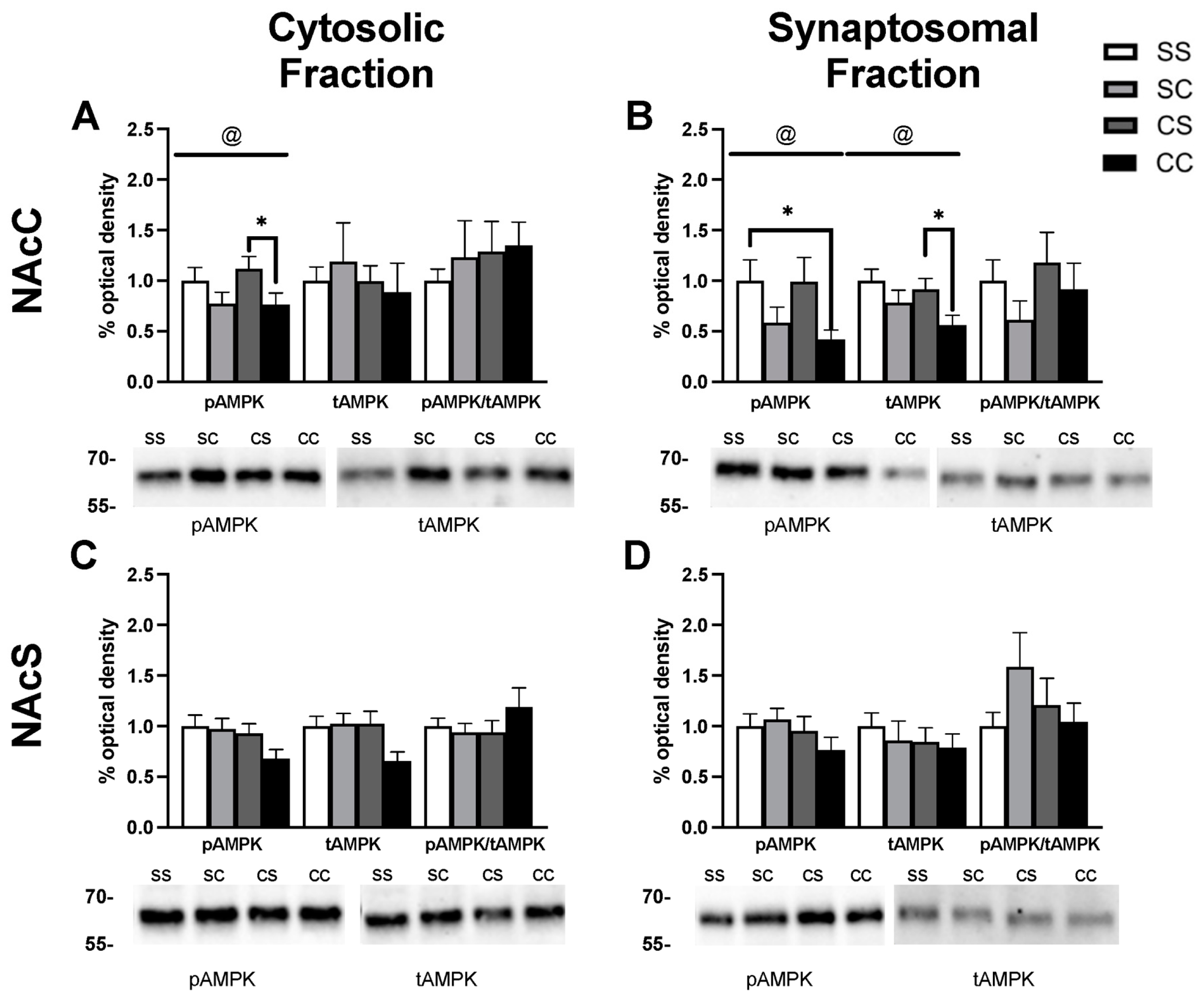 Ijms 24 16859 g003 Ijms 24 16859 g003