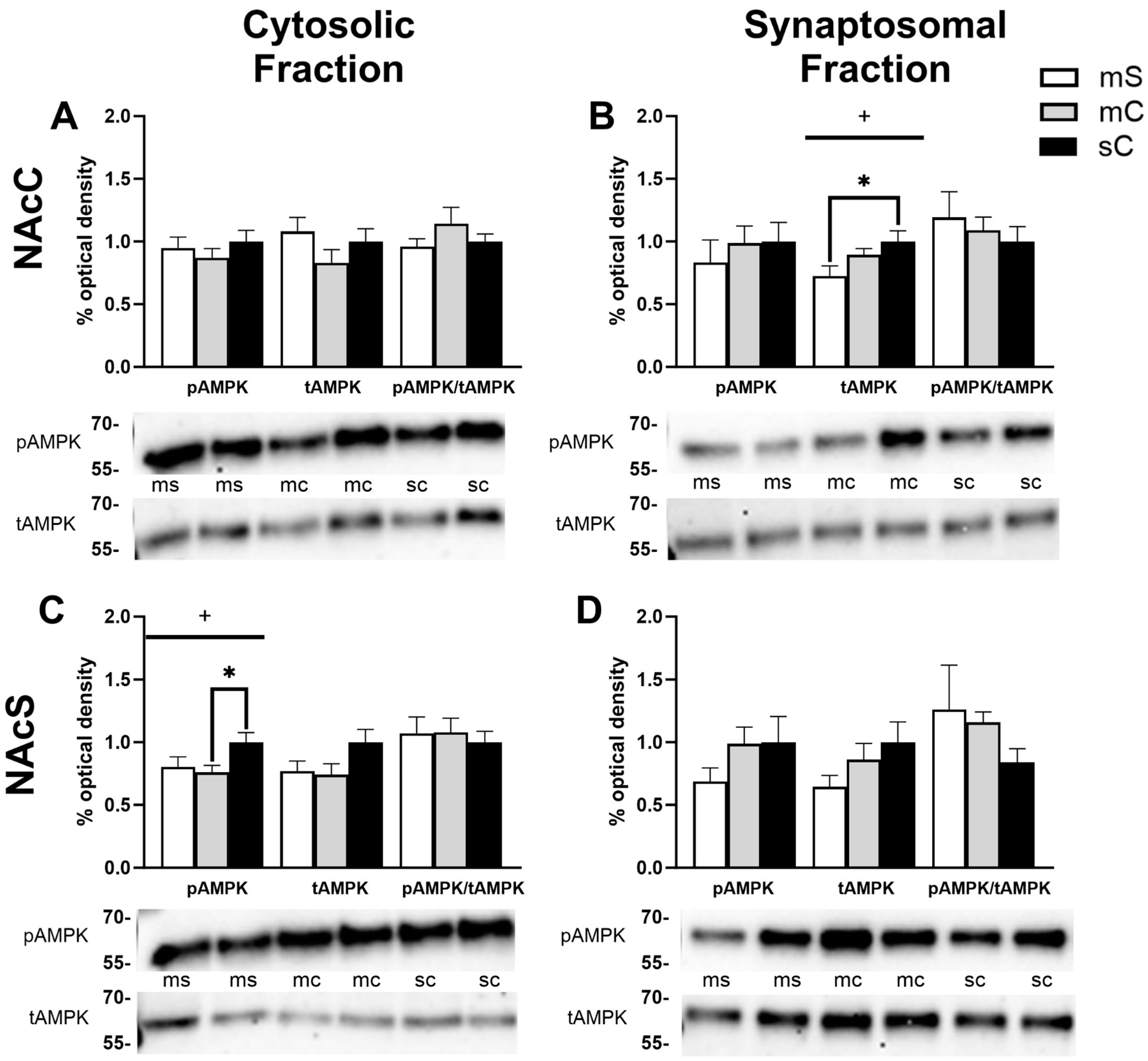 Ijms 24 16859 g006 Ijms 24 16859 g006