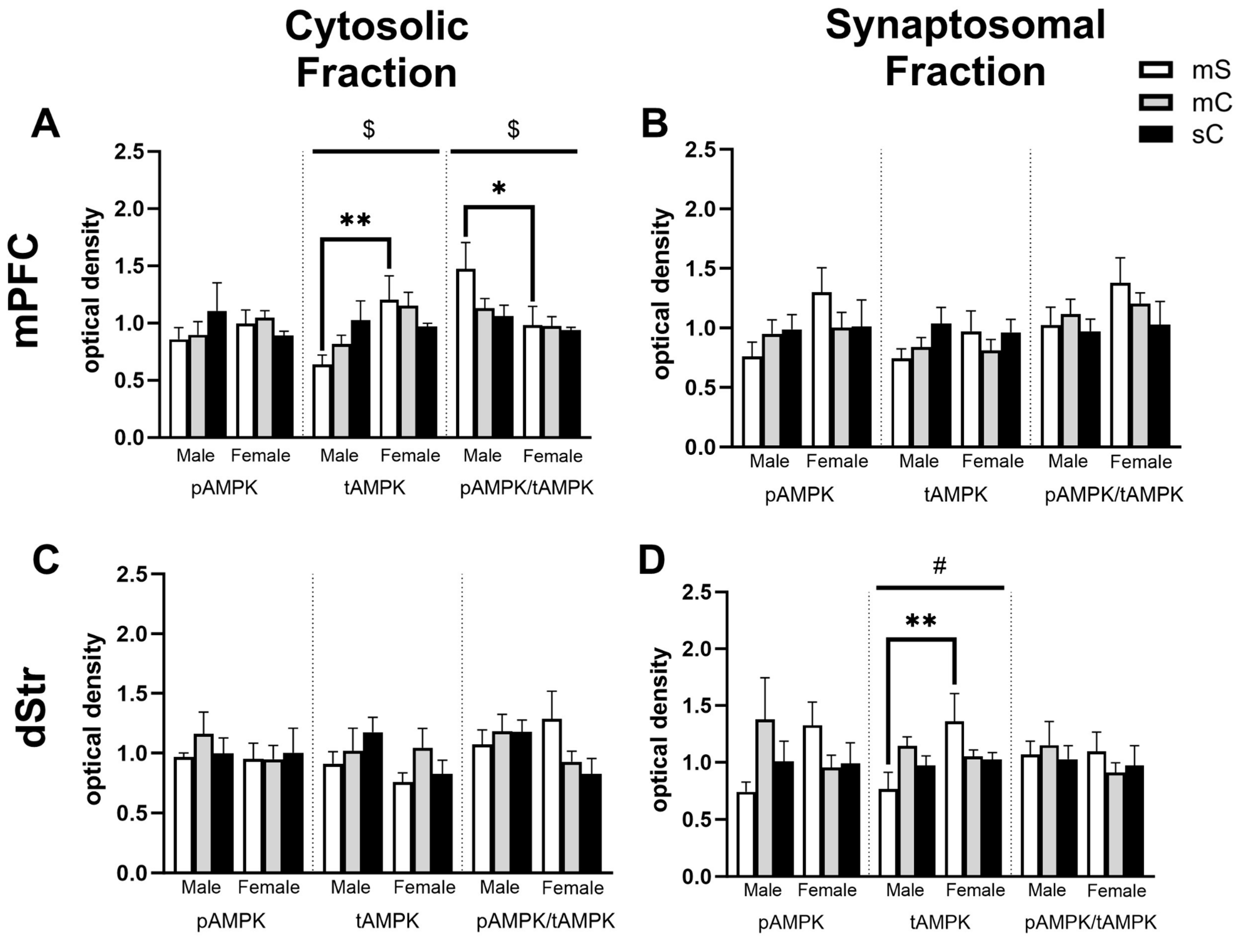Ijms 24 16859 g007 Ijms 24 16859 g007