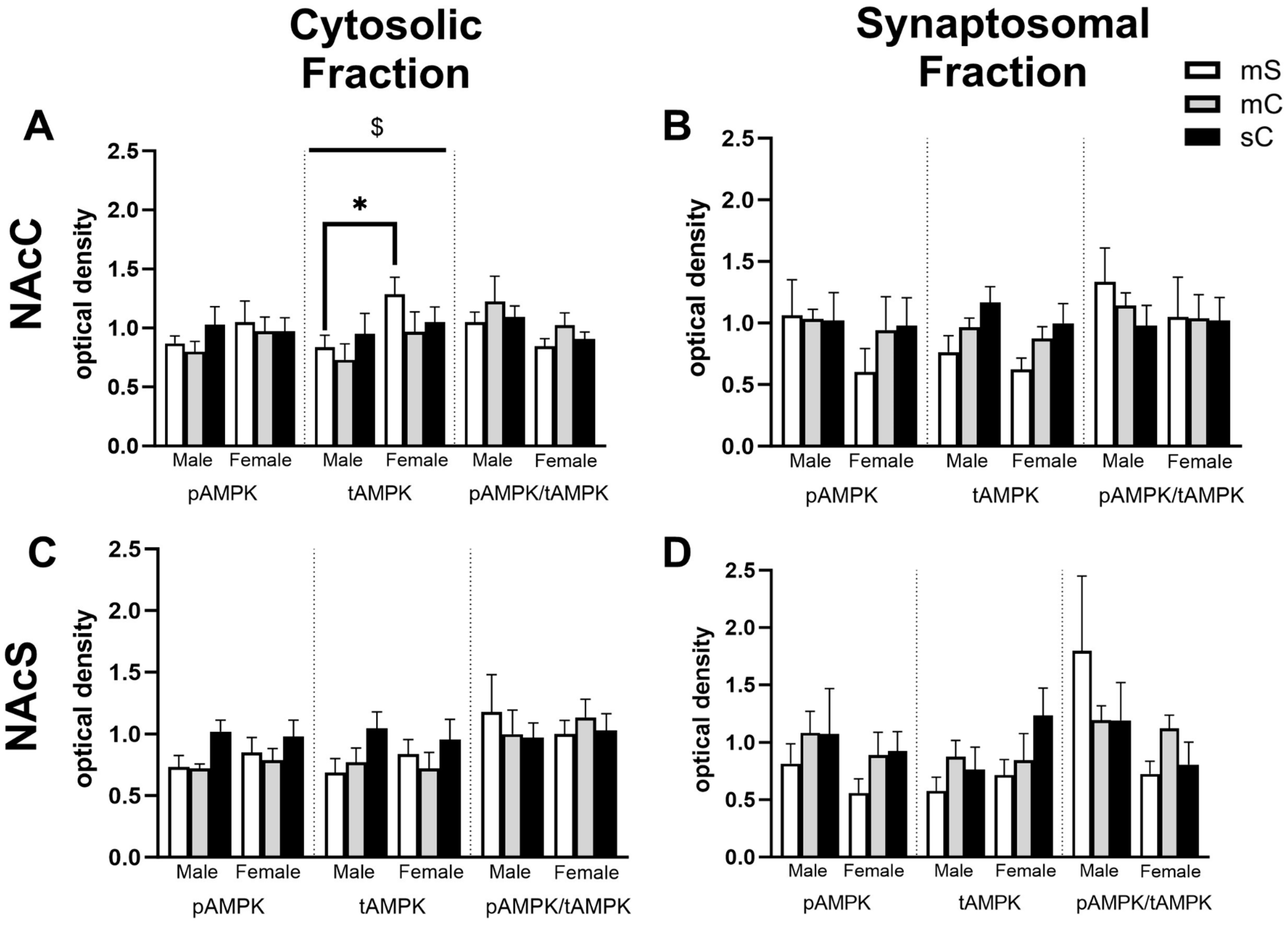 Ijms 24 16859 g008 Ijms 24 16859 g008