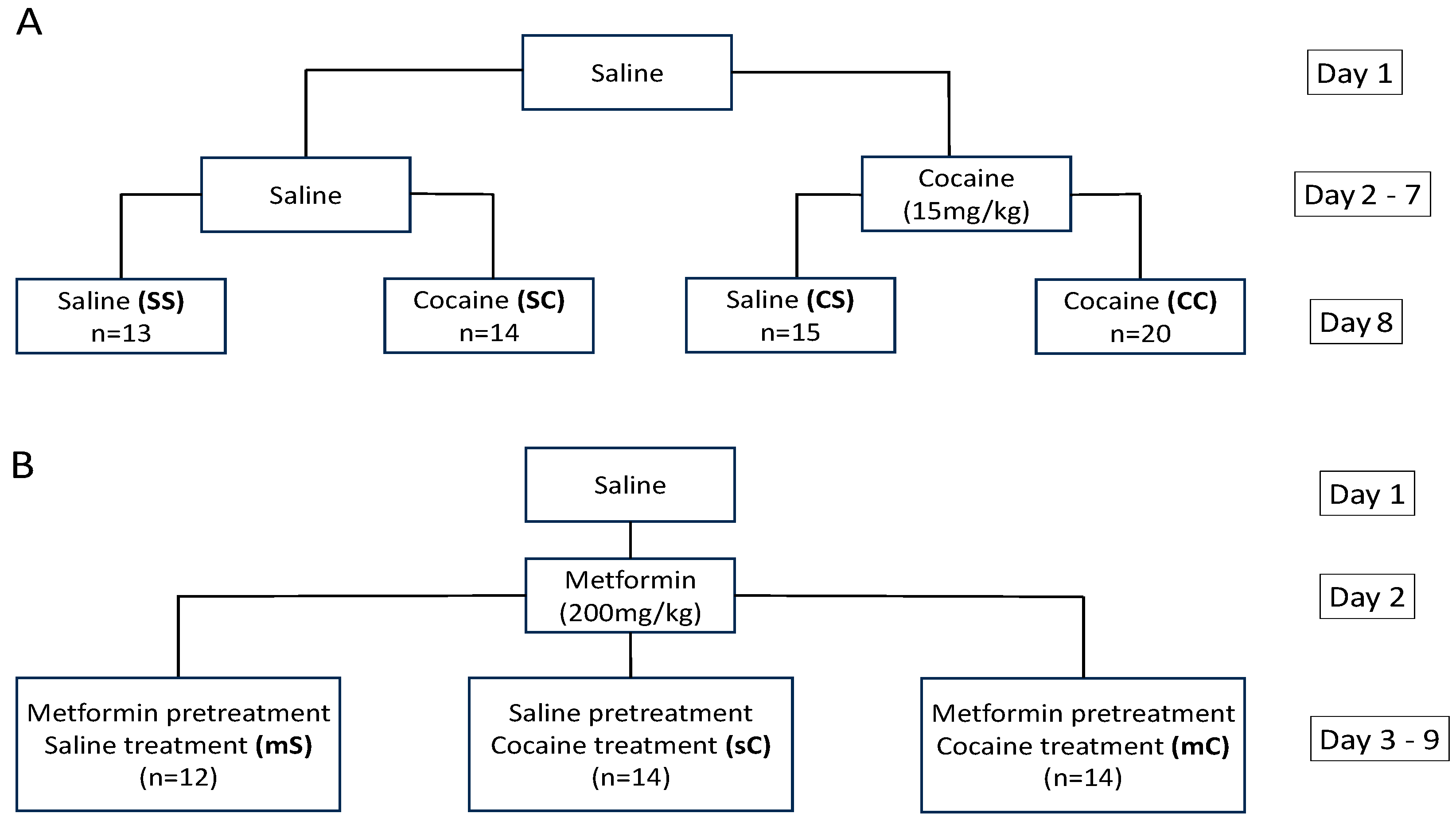 Ijms 24 16859 g009 Ijms 24 16859 g009