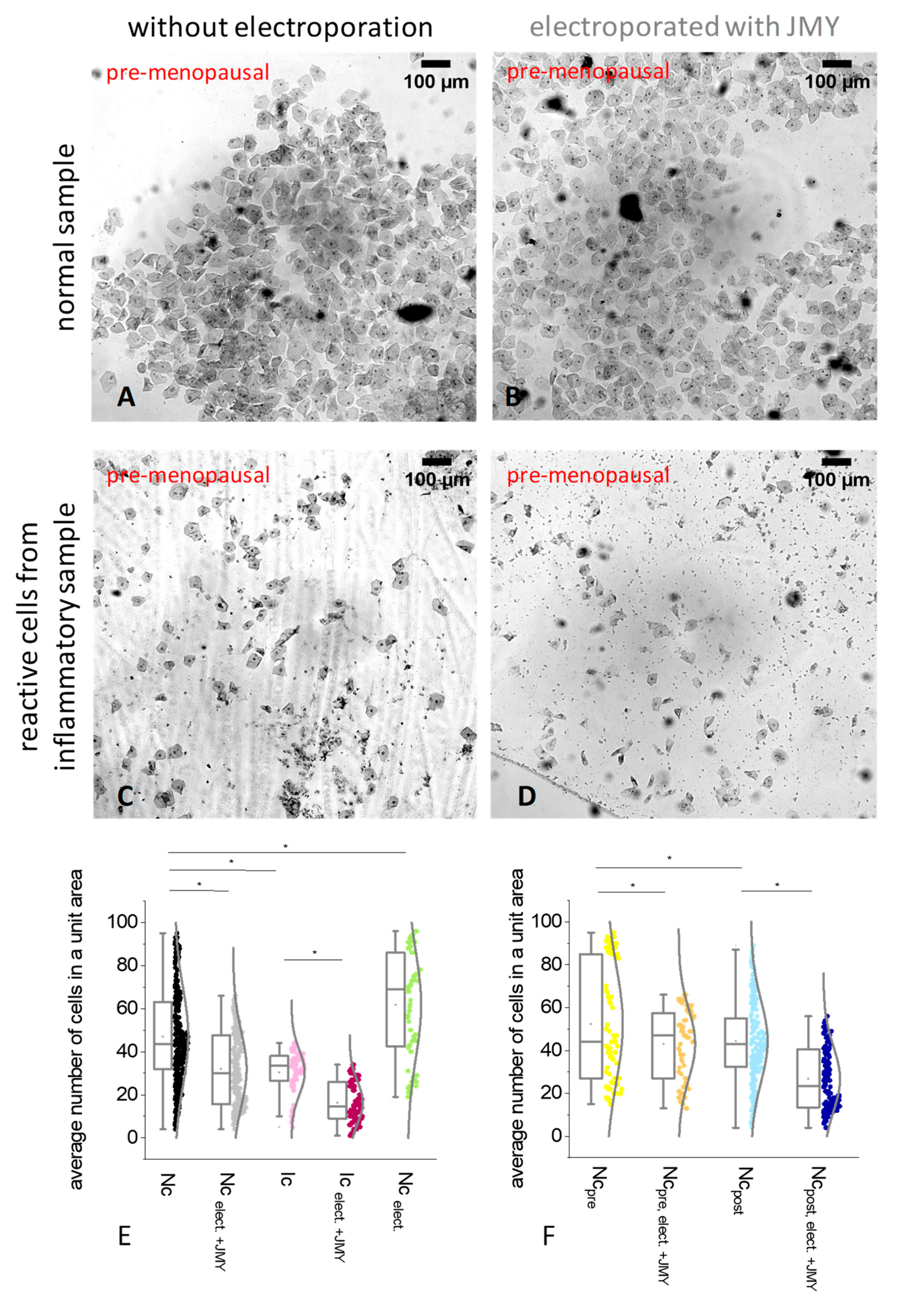 Ijms 24 16863 g001 Ijms 24 16863 g001