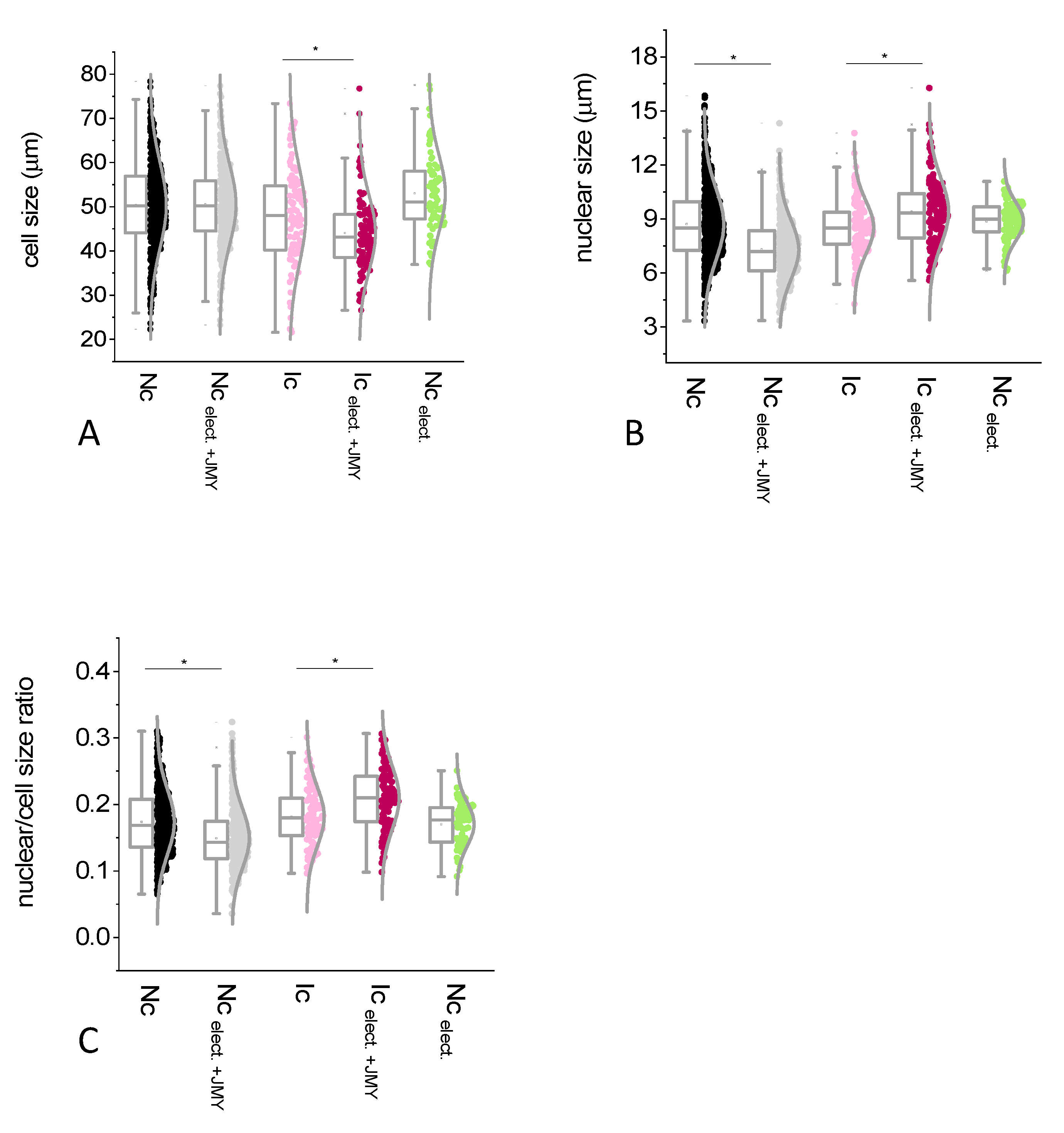 Ijms 24 16863 g004 Ijms 24 16863 g004