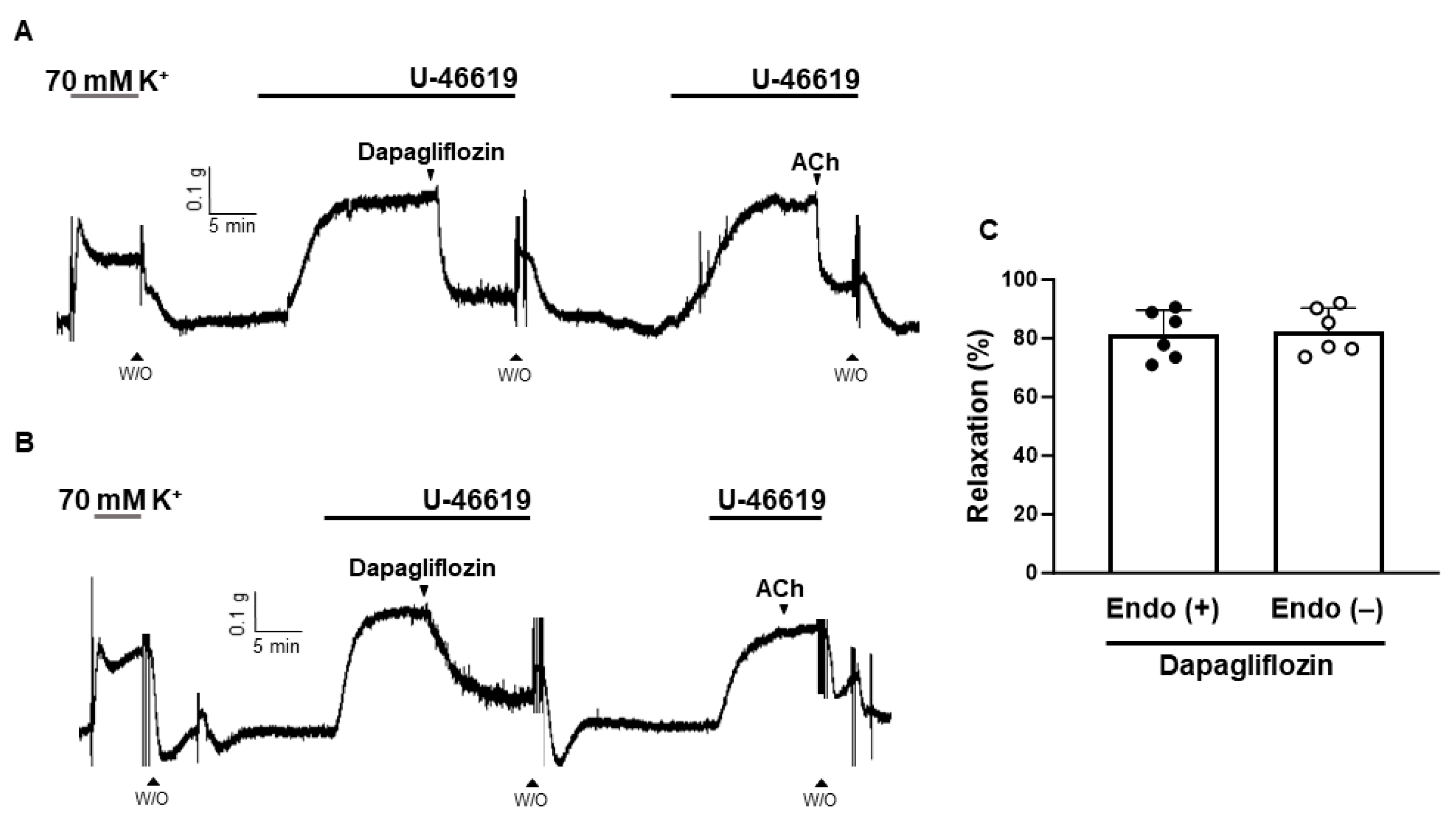 Ijms 24 16873 g004 Ijms 24 16873 g004