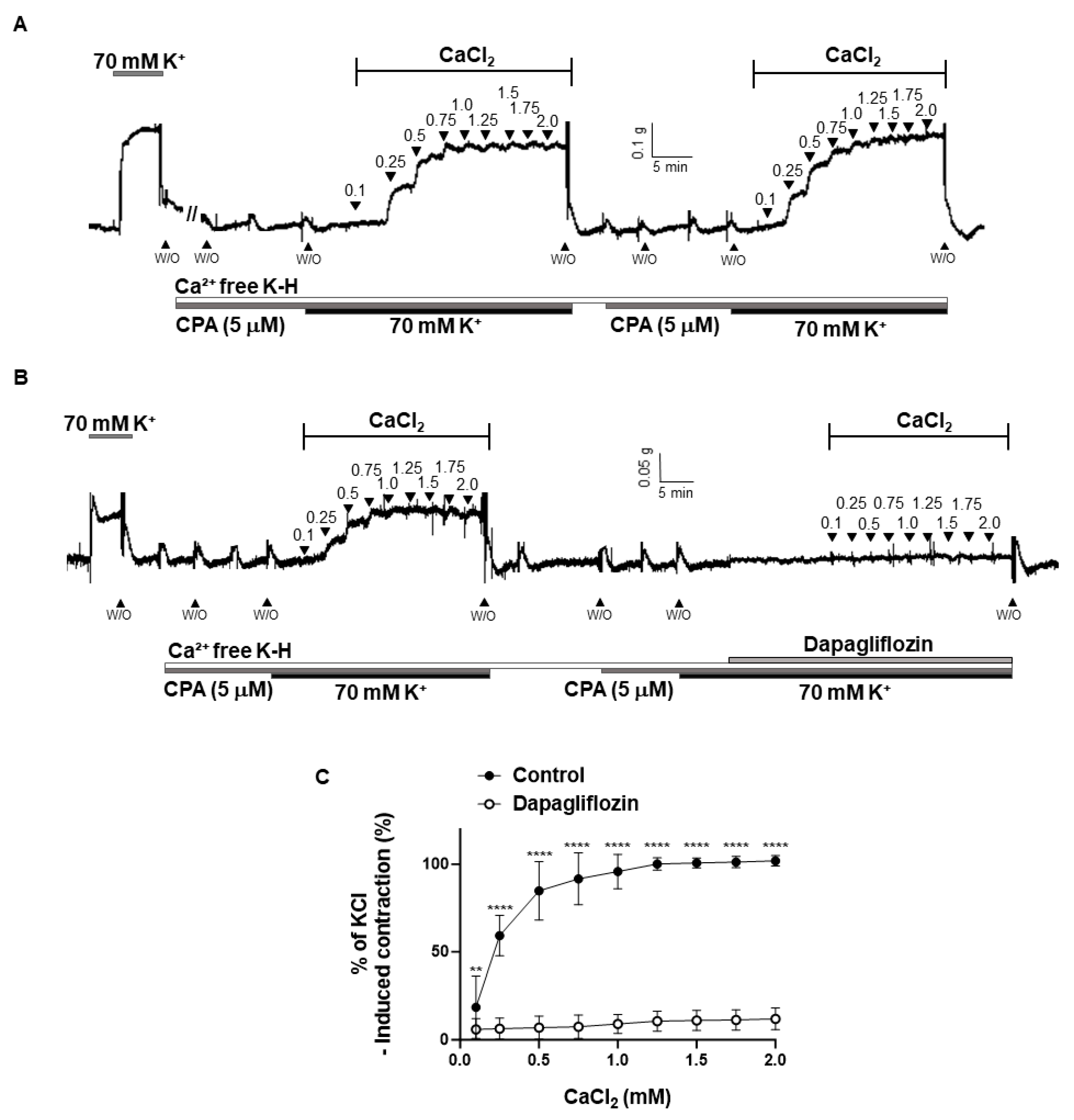 Ijms 24 16873 g007 Ijms 24 16873 g007