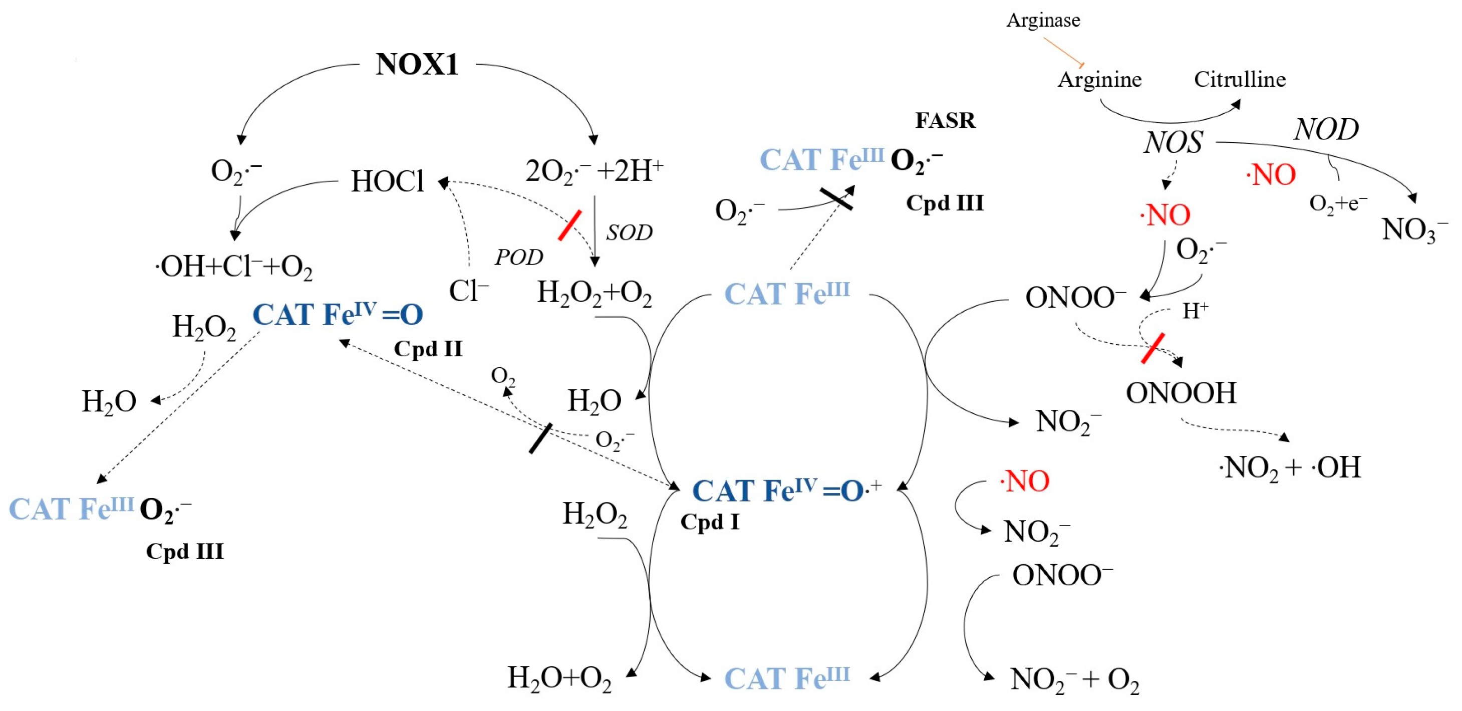 Ijms 24 16890 g005 Ijms 24 16890 g005