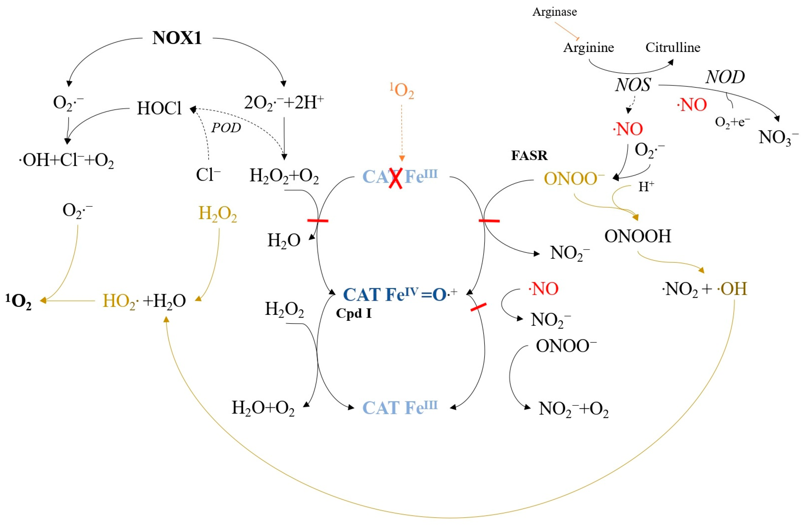 Ijms 24 16890 g007 Ijms 24 16890 g007