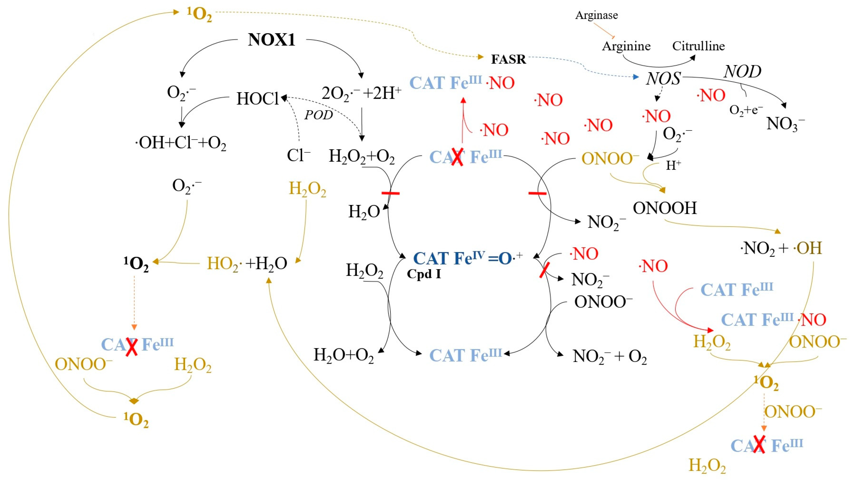 Ijms 24 16890 g008 Ijms 24 16890 g008