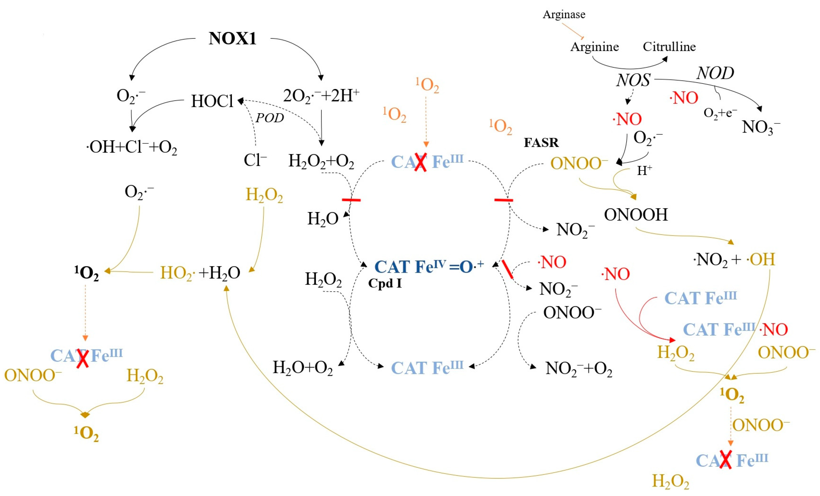 Ijms 24 16890 g009 Ijms 24 16890 g009