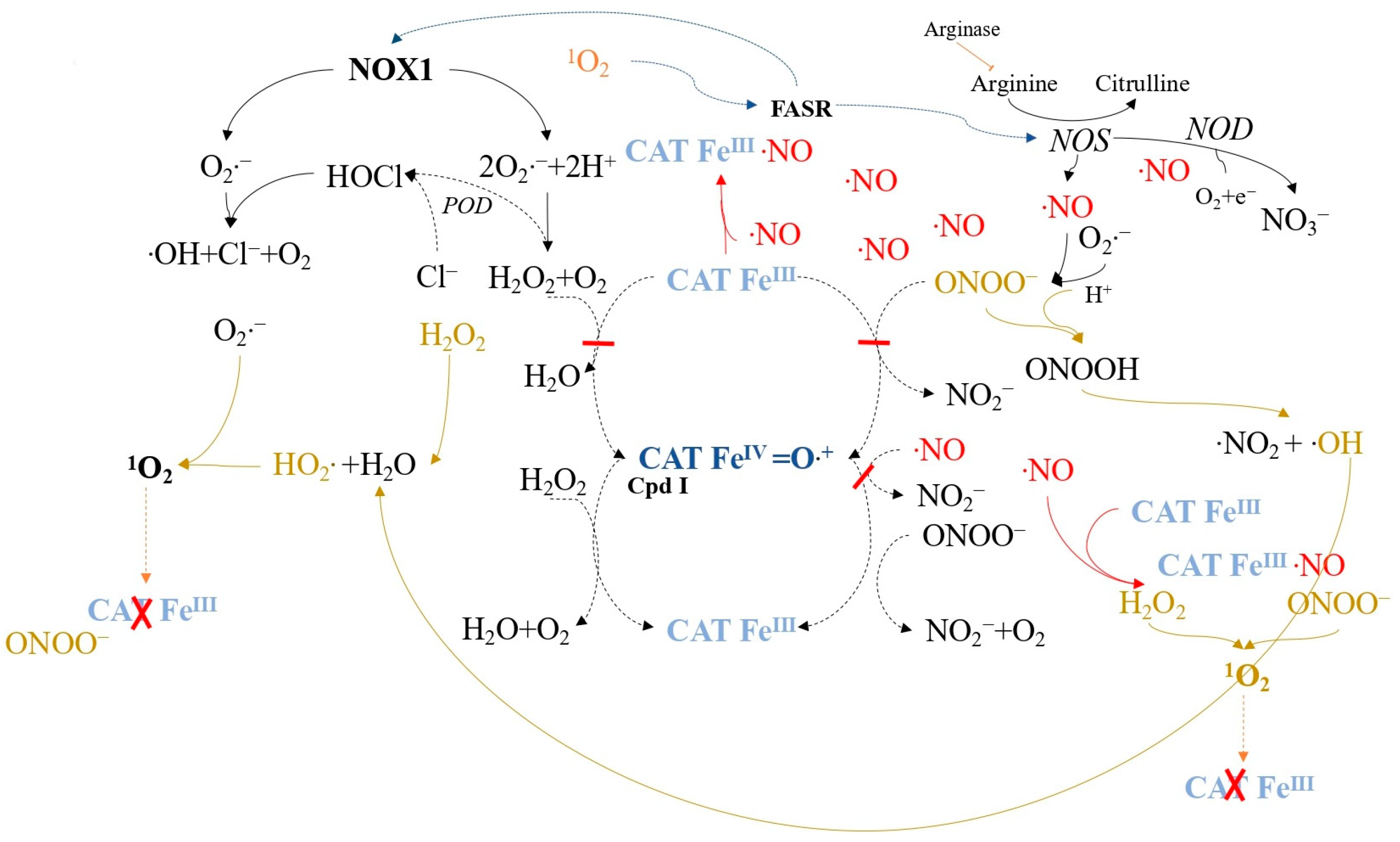 Ijms 24 16890 g010 Ijms 24 16890 g010
