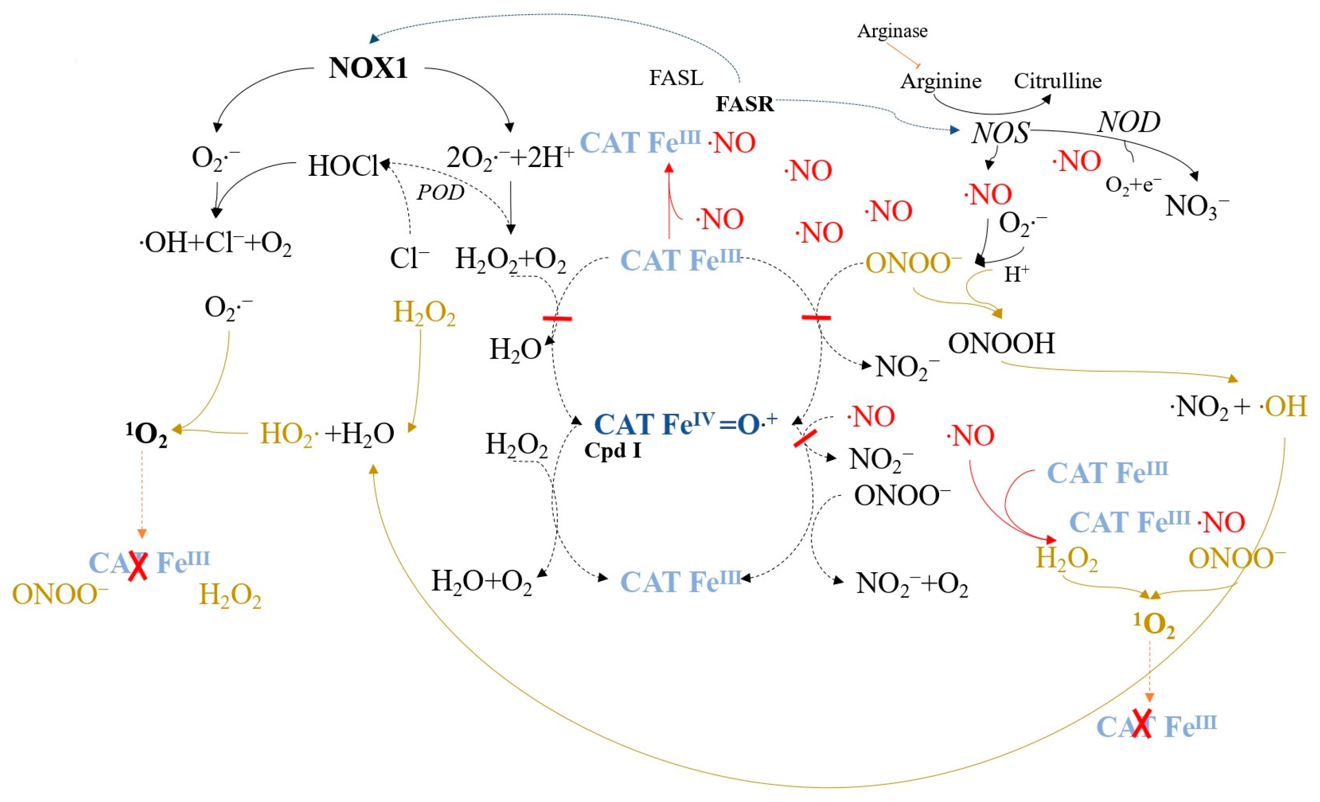 Ijms 24 16890 g011 Ijms 24 16890 g011