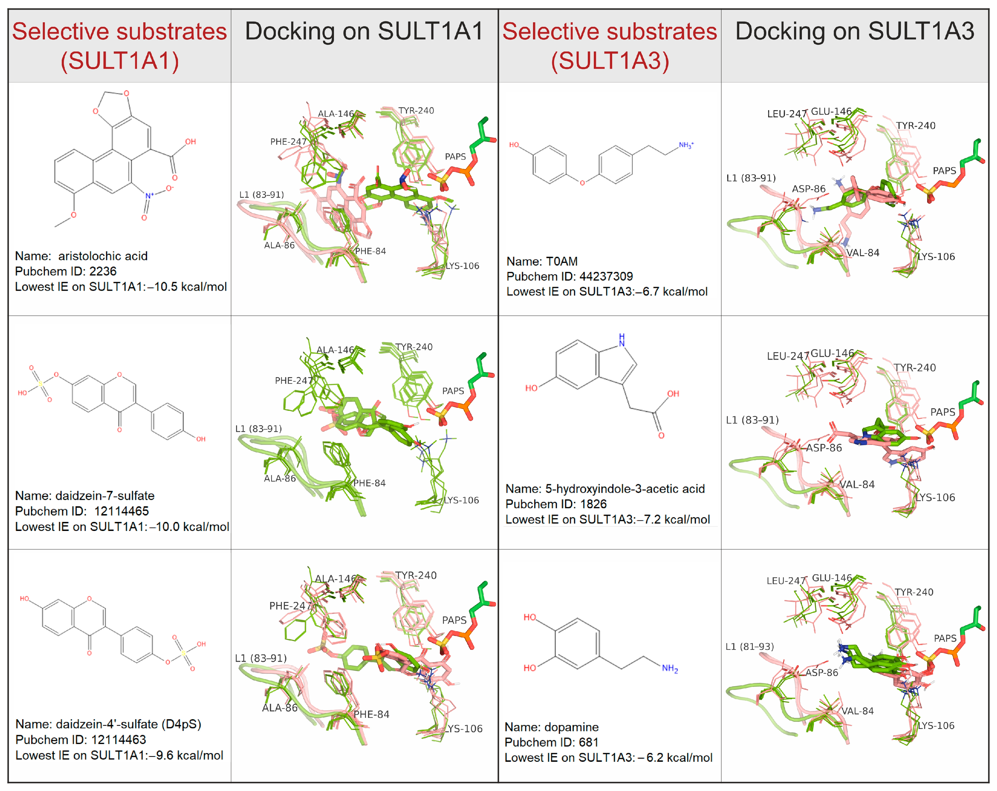 Ijms 24 16900 g007 Ijms 24 16900 g007