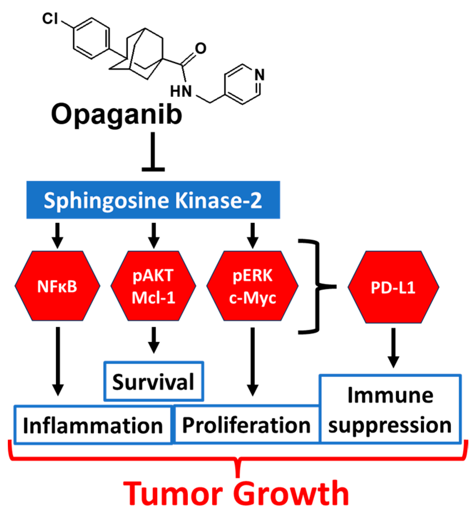 Opaganib (ABC294640) Induces Immunogenic Tumor Cell Death