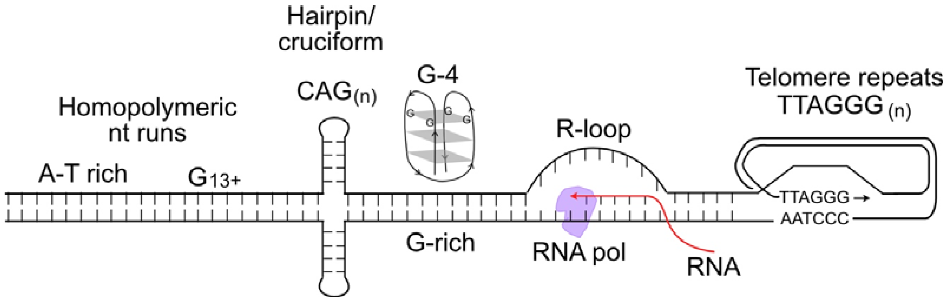 Ijms 24 16903 g001