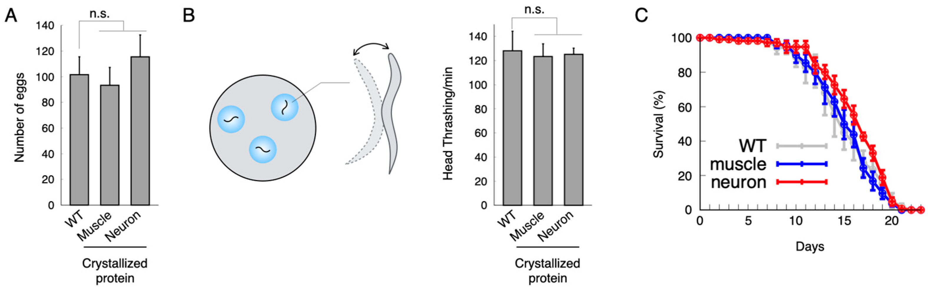 Ijms 24 16914 g002 Ijms 24 16914 g002