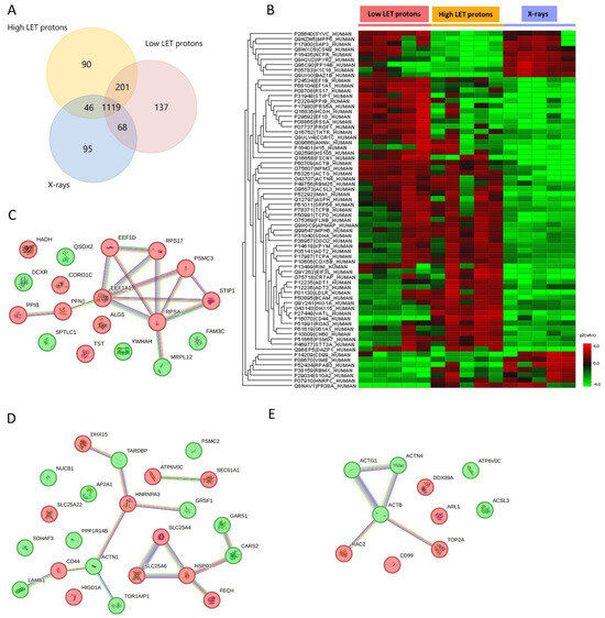 Proton Compared to X-Irradiation Induces Different Protein