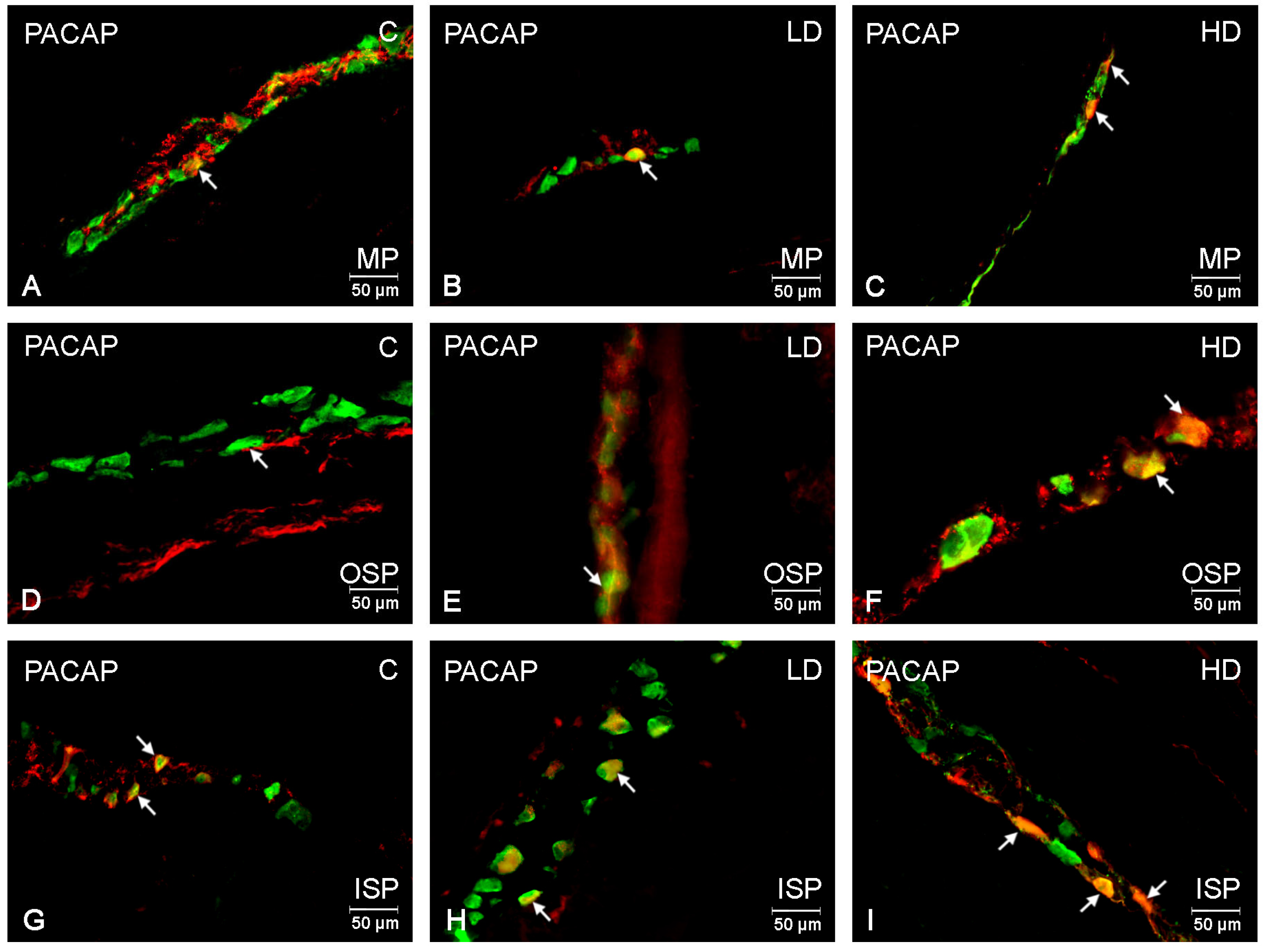Ijms 24 16998 g002 Ijms 24 16998 g002