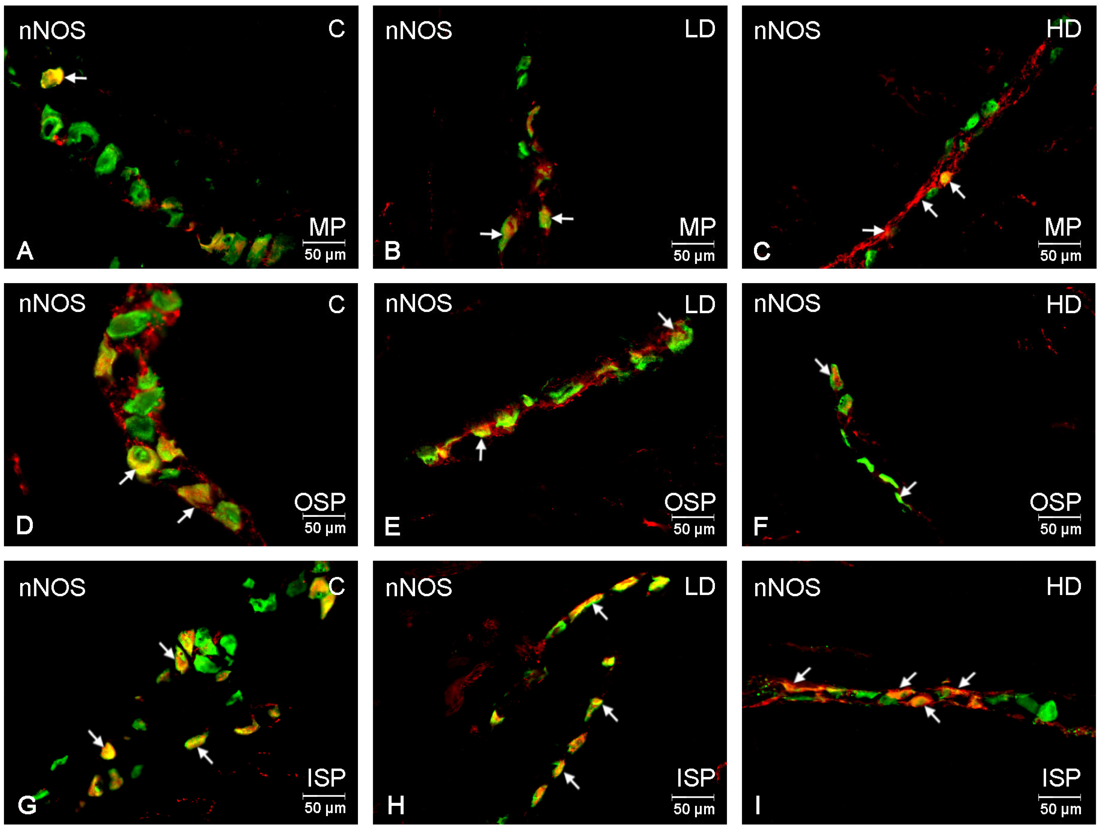 Ijms 24 16998 g003 Ijms 24 16998 g003