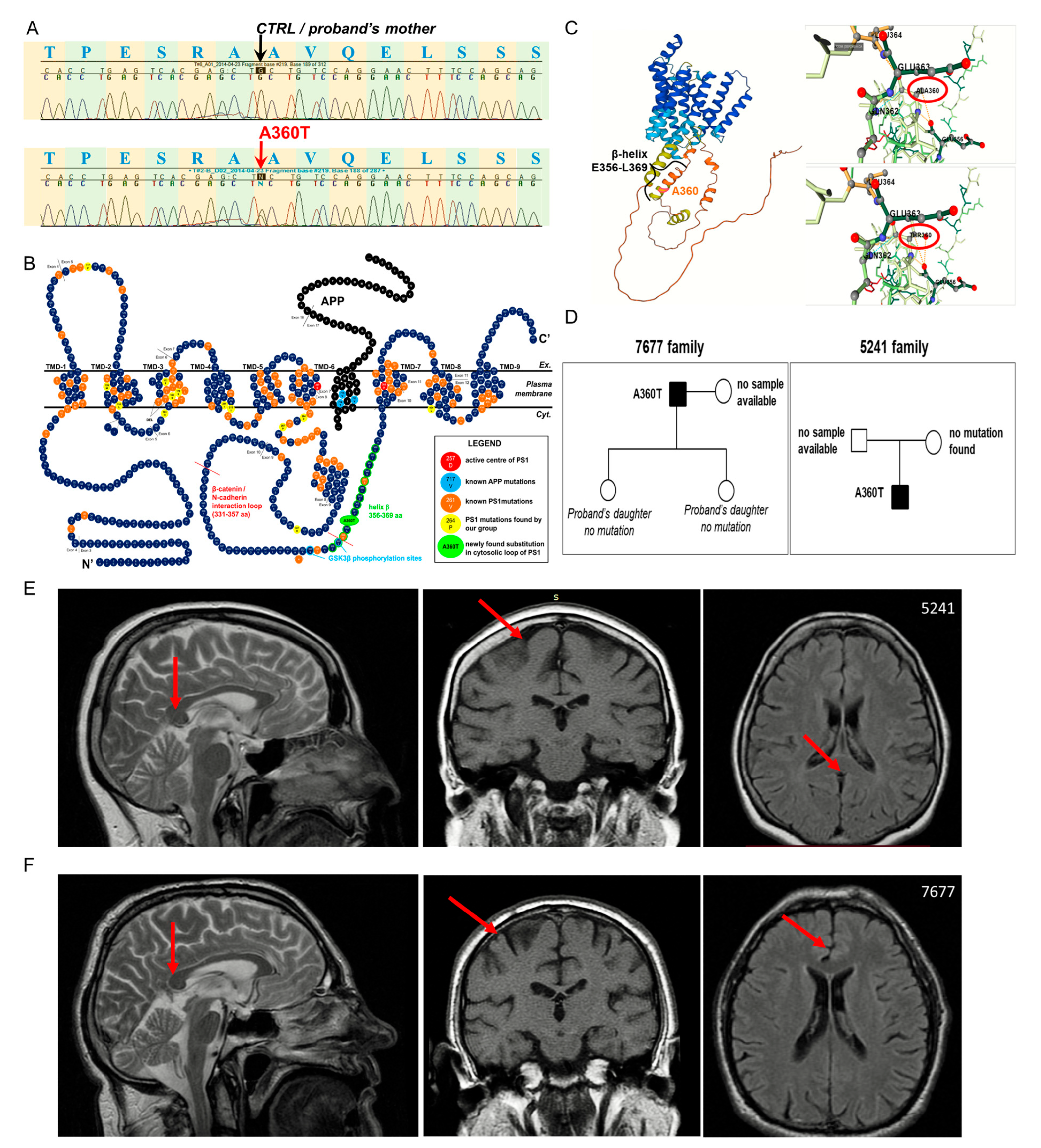 Ijms 24 16999 g001 Ijms 24 16999 g001