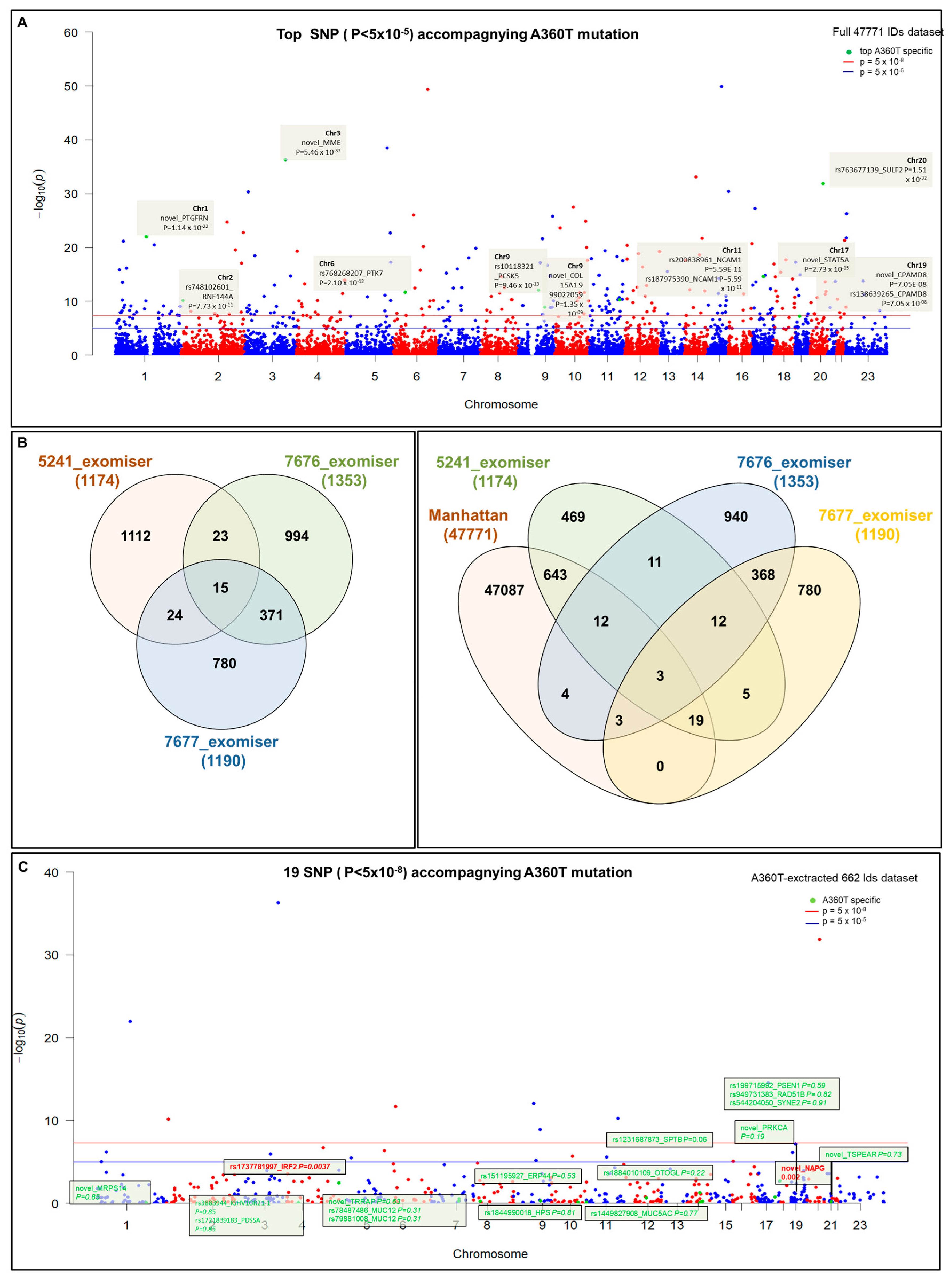 Ijms 24 16999 g002 Ijms 24 16999 g002