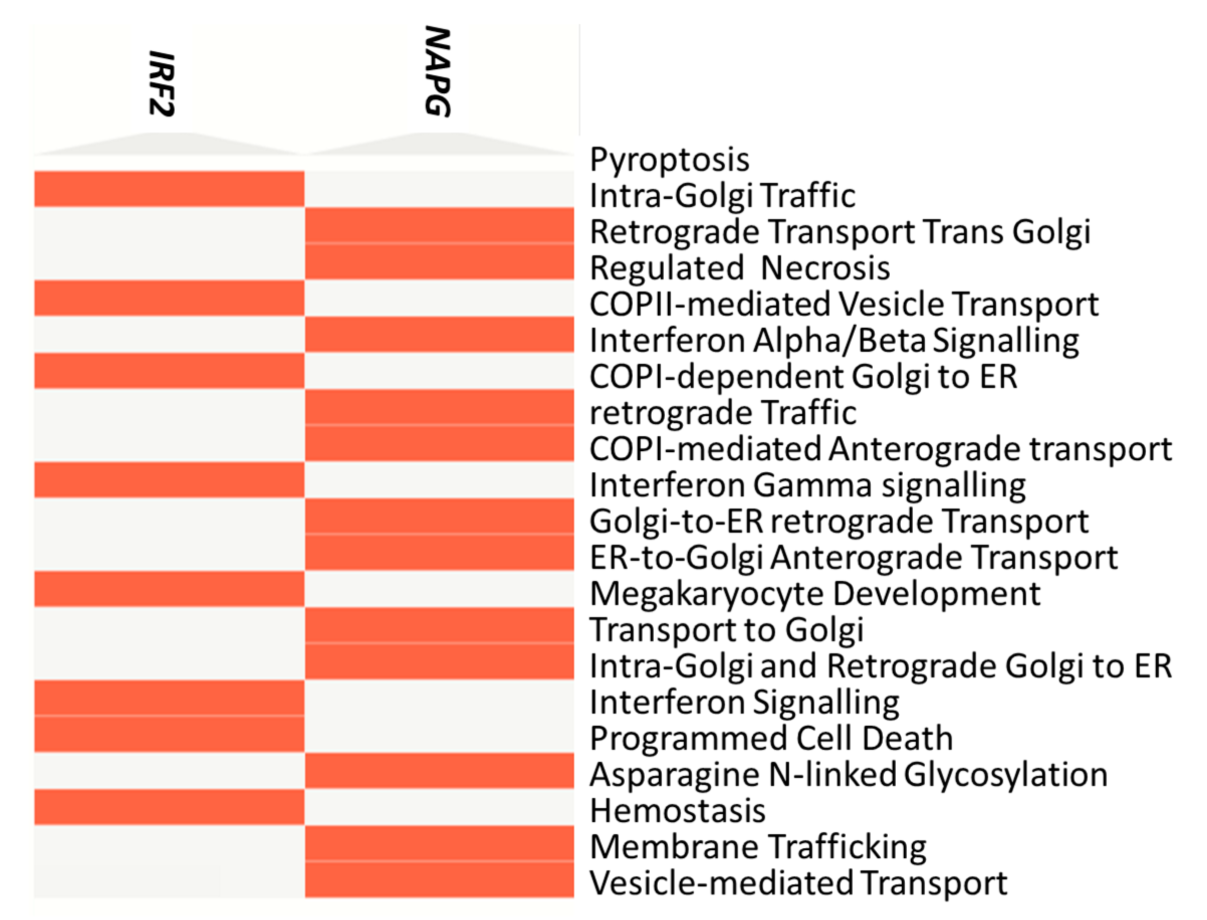 Ijms 24 16999 g003 Ijms 24 16999 g003