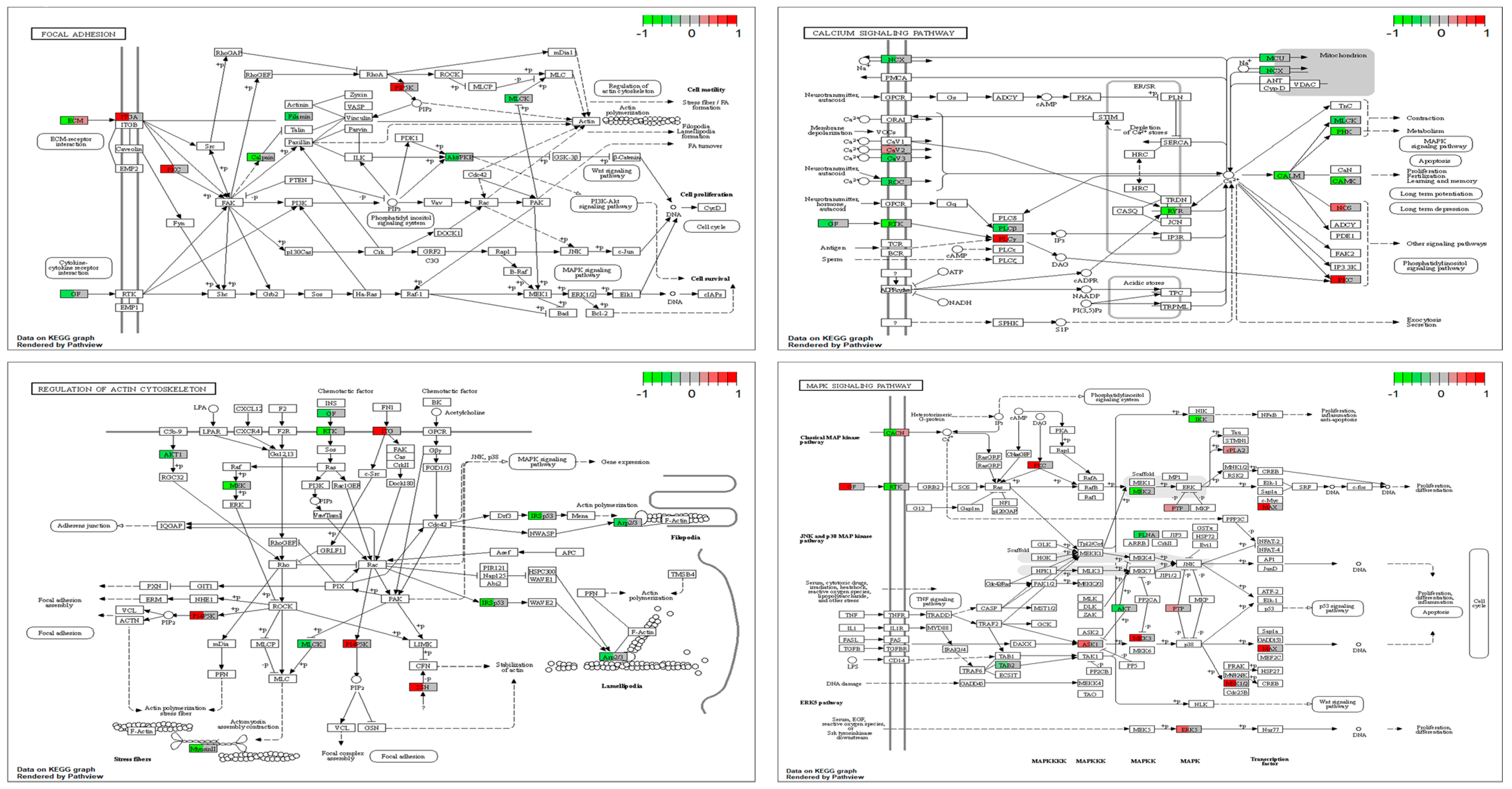 Ijms 24 16999 g005 Ijms 24 16999 g005