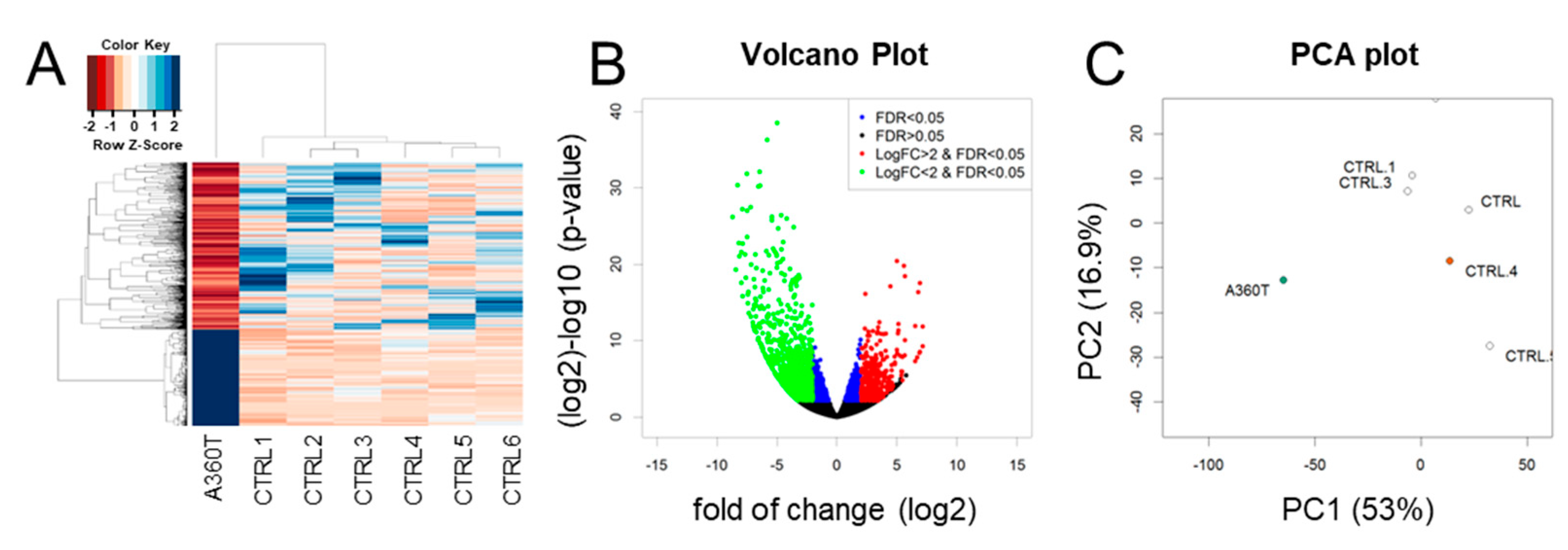 Ijms 24 16999 g008 Ijms 24 16999 g008