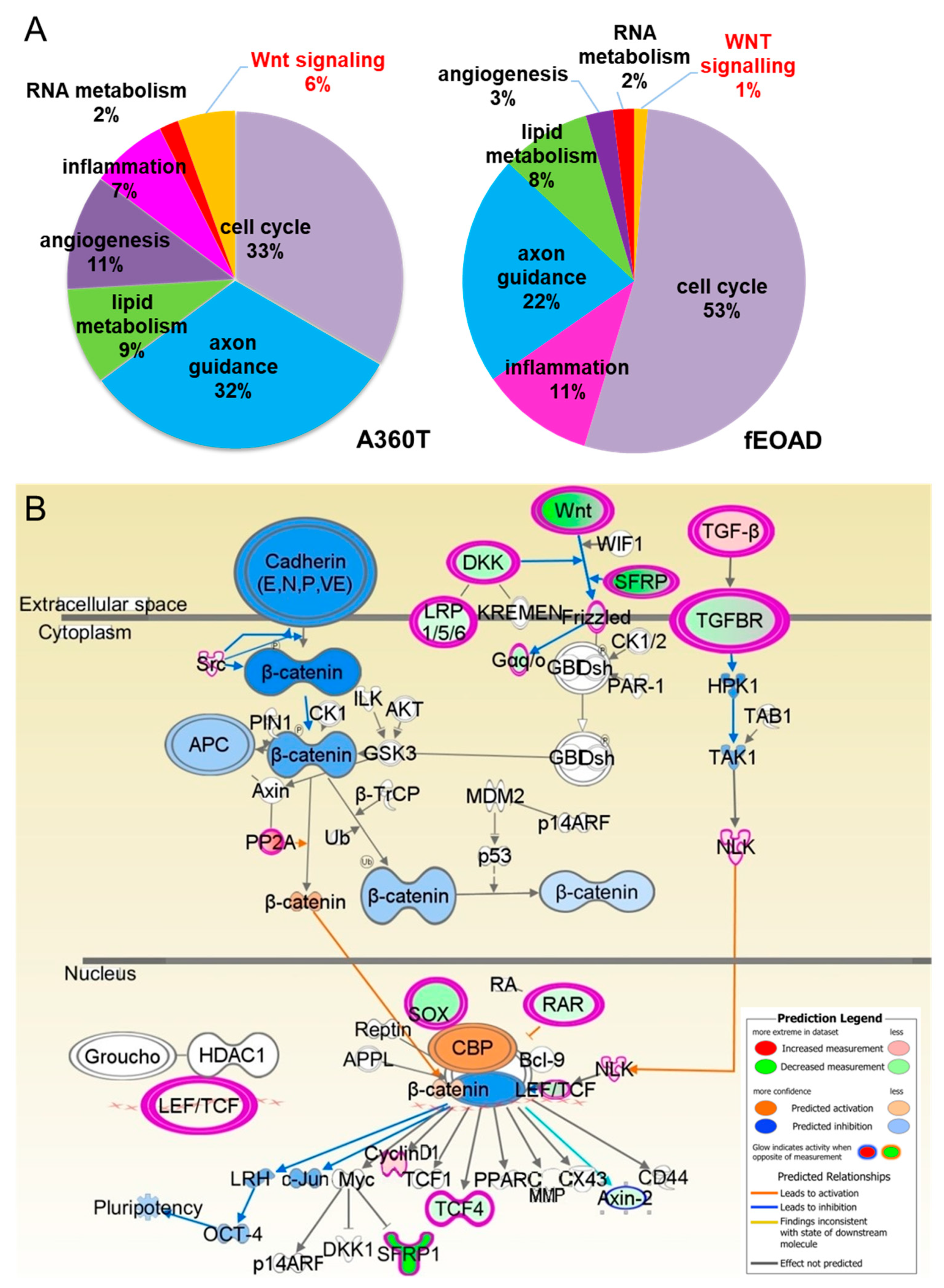 Ijms 24 16999 g010 Ijms 24 16999 g010