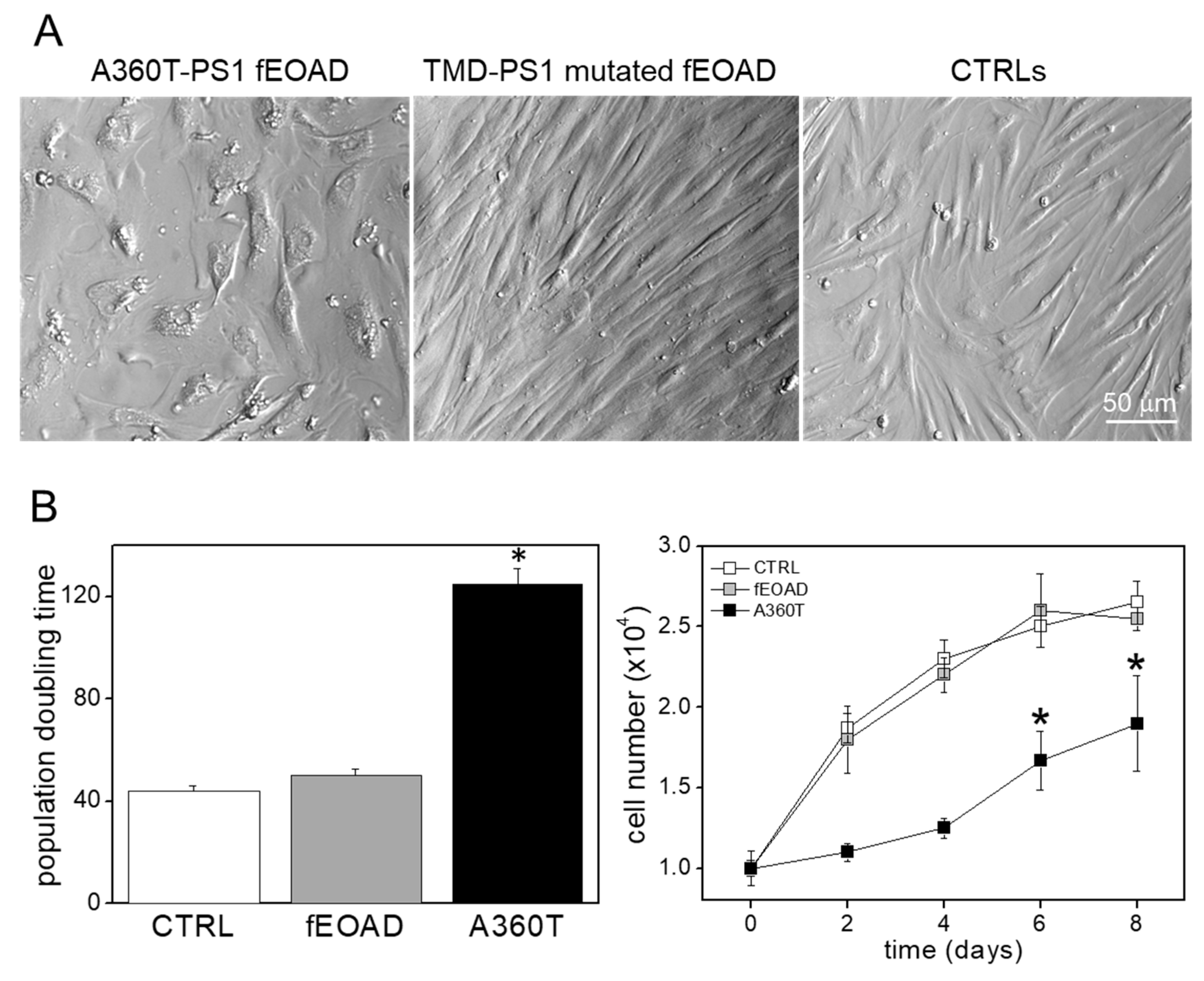 Ijms 24 16999 g011 Ijms 24 16999 g011