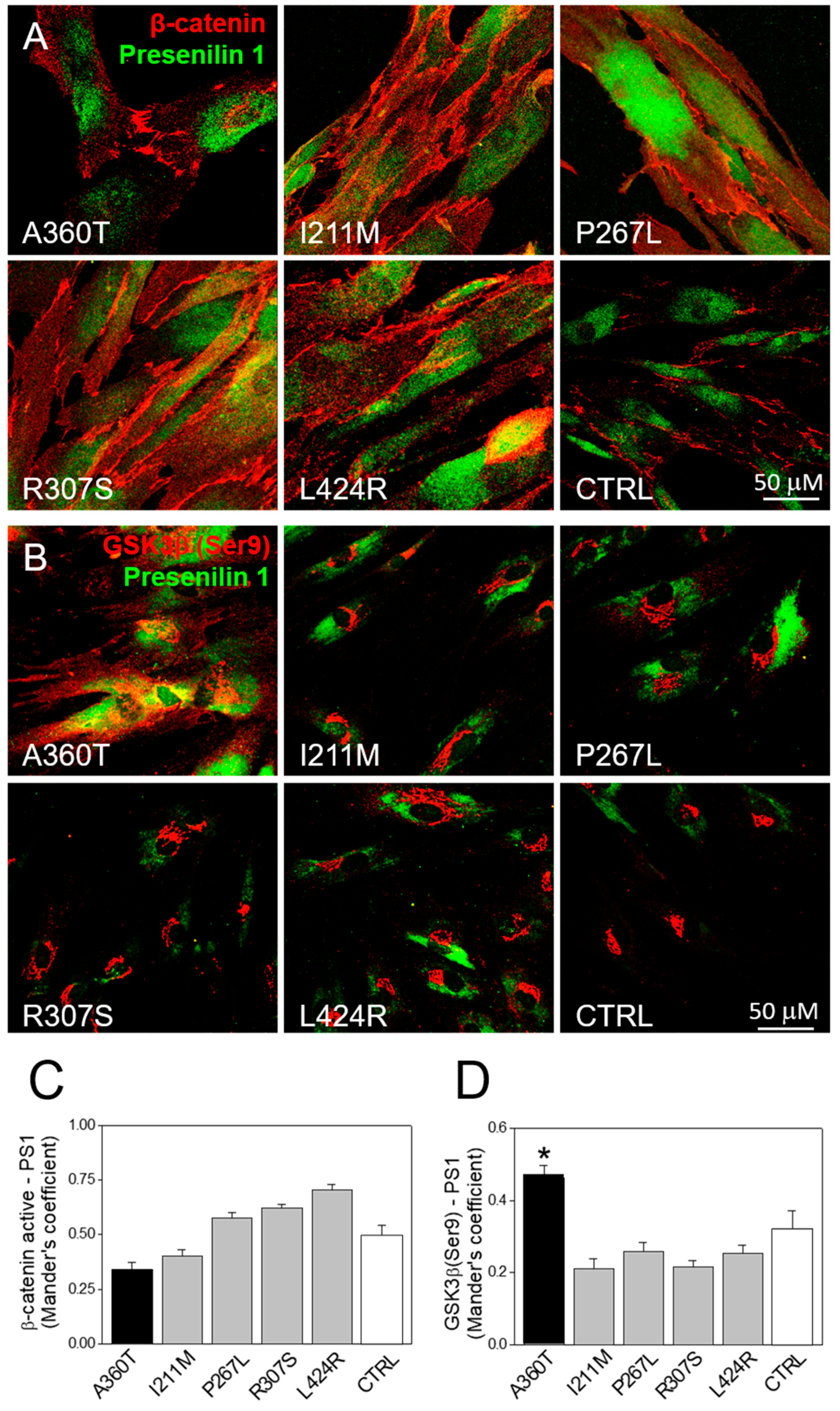 Ijms 24 16999 g014 Ijms 24 16999 g014