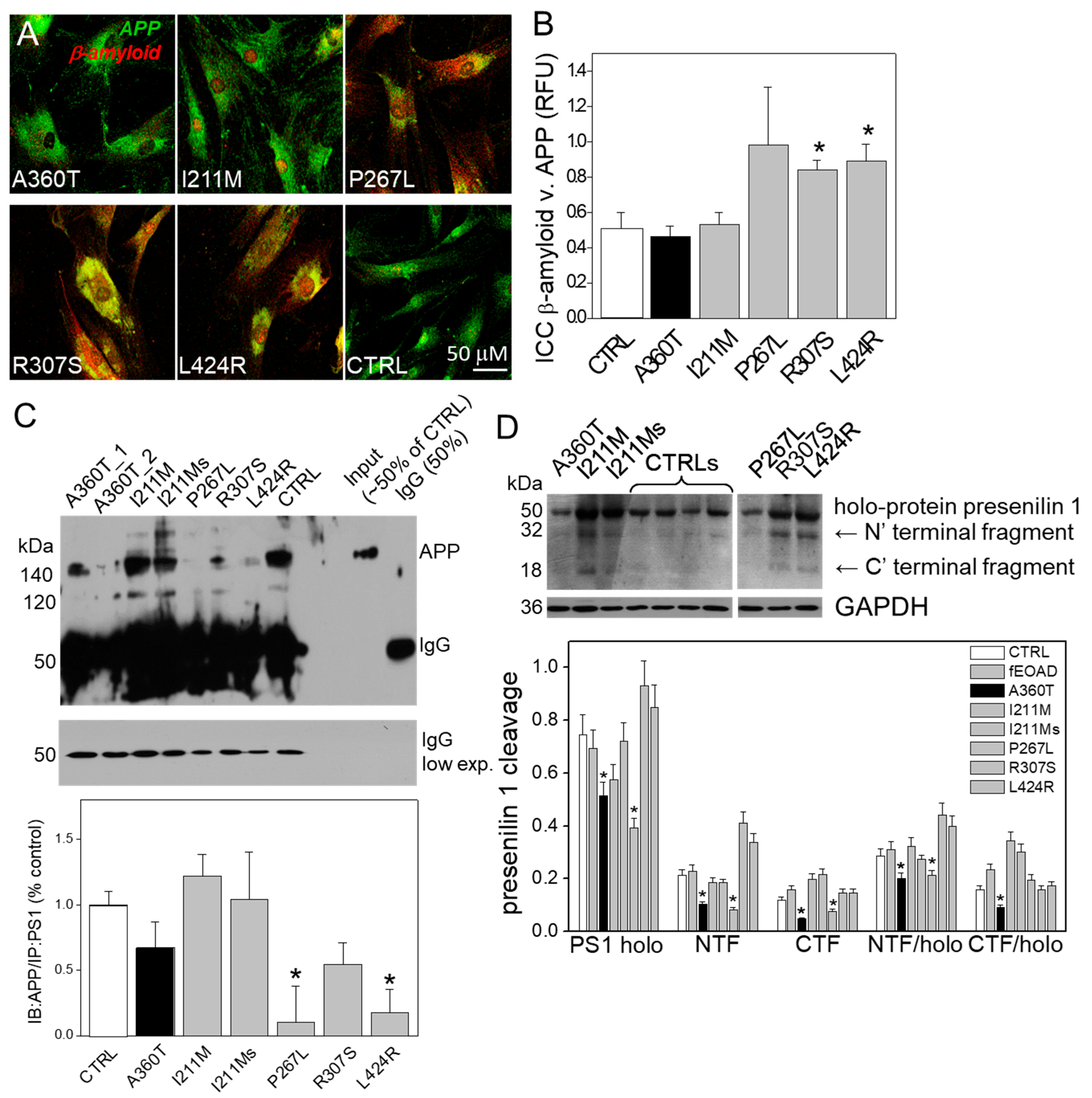 Ijms 24 16999 g015 Ijms 24 16999 g015
