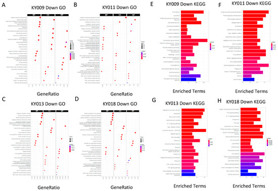 Comparative RNA-Seq Analysis Revealed Tissue-Specific Splicing