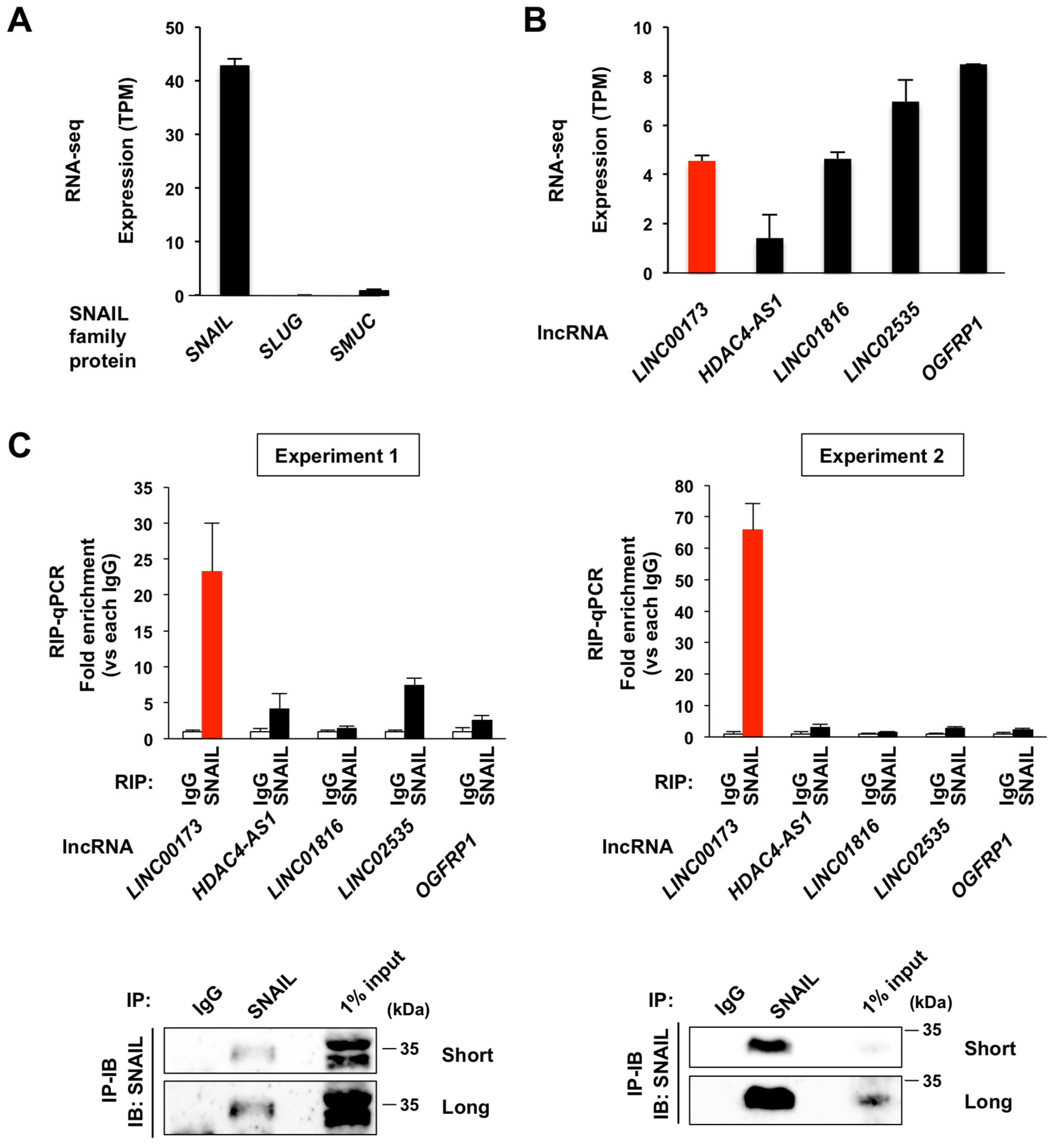 Ijms 24 17011 g001 Ijms 24 17011 g001