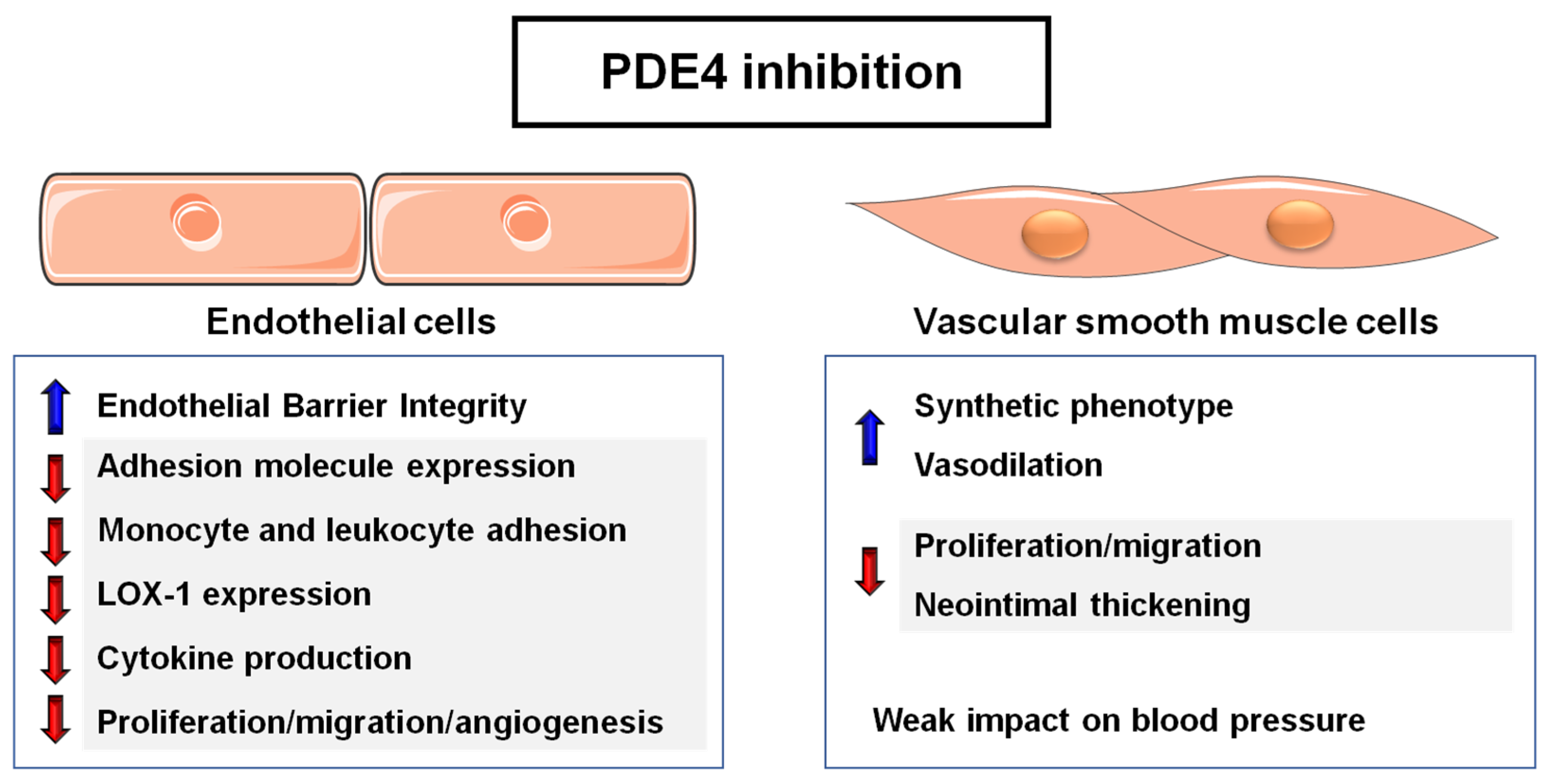 Ijms 24 17017 g003 Ijms 24 17017 g003