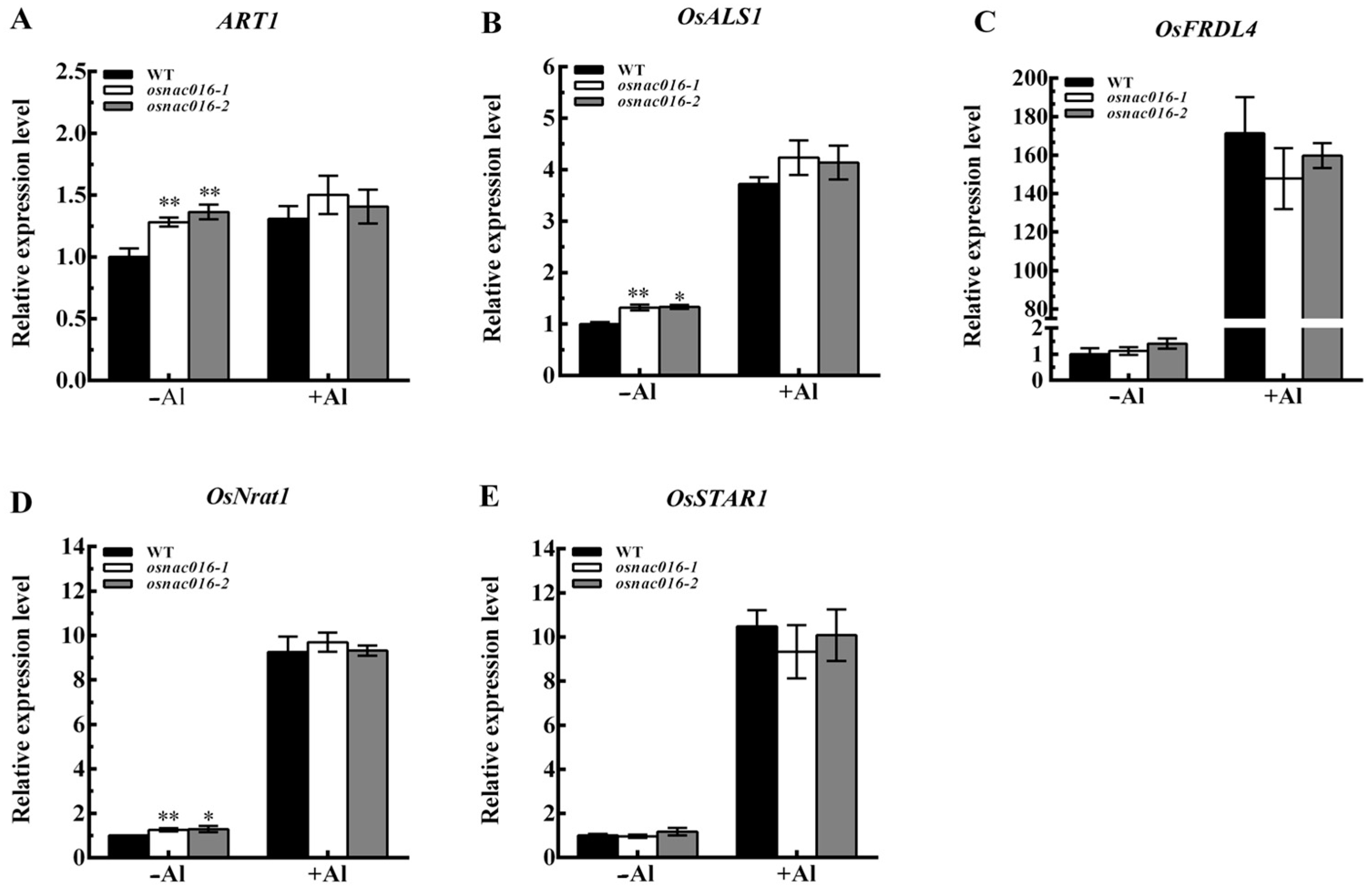 Ijms 24 17036 g004 Ijms 24 17036 g004