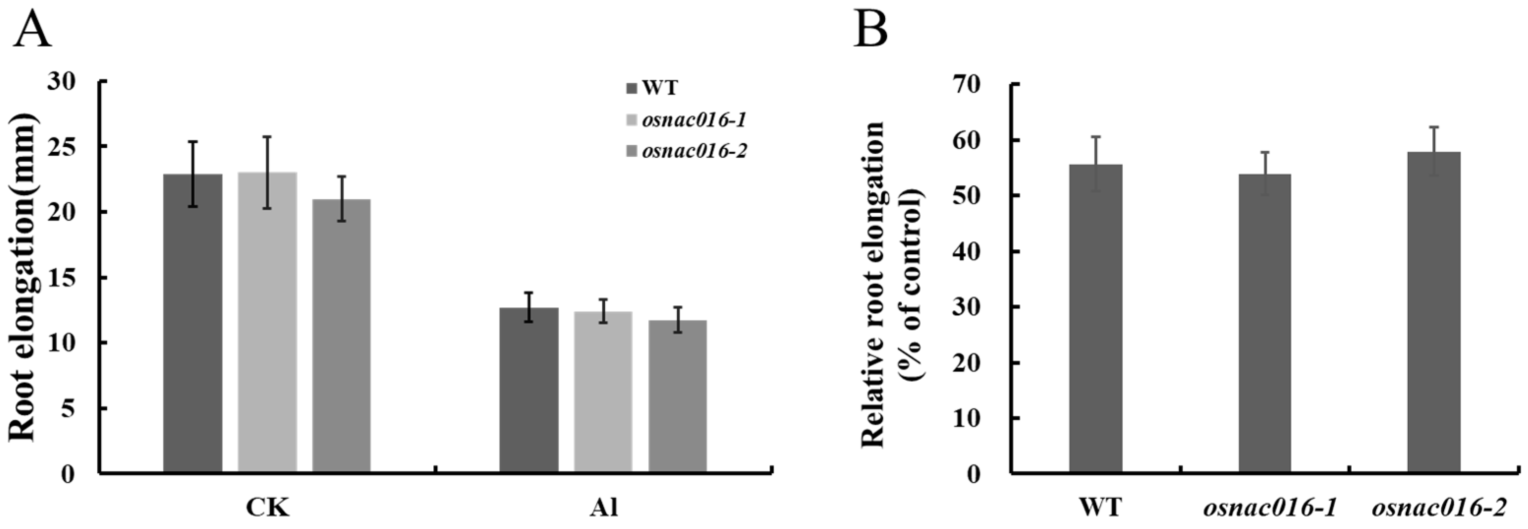 Ijms 24 17036 g005 Ijms 24 17036 g005