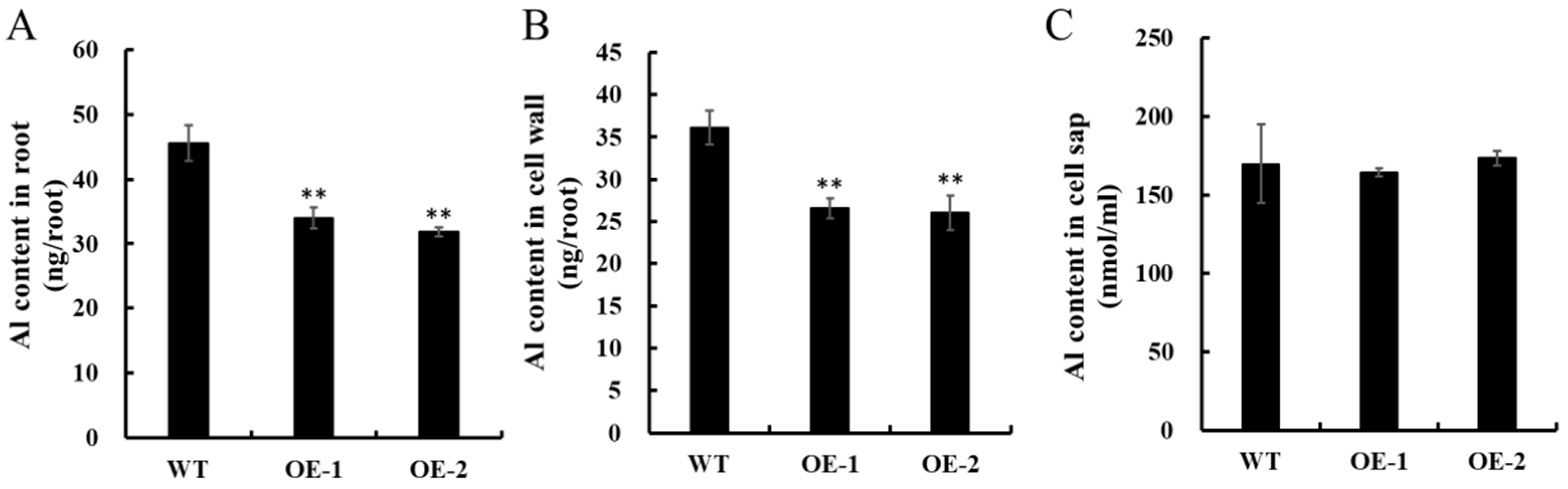Ijms 24 17036 g007 Ijms 24 17036 g007